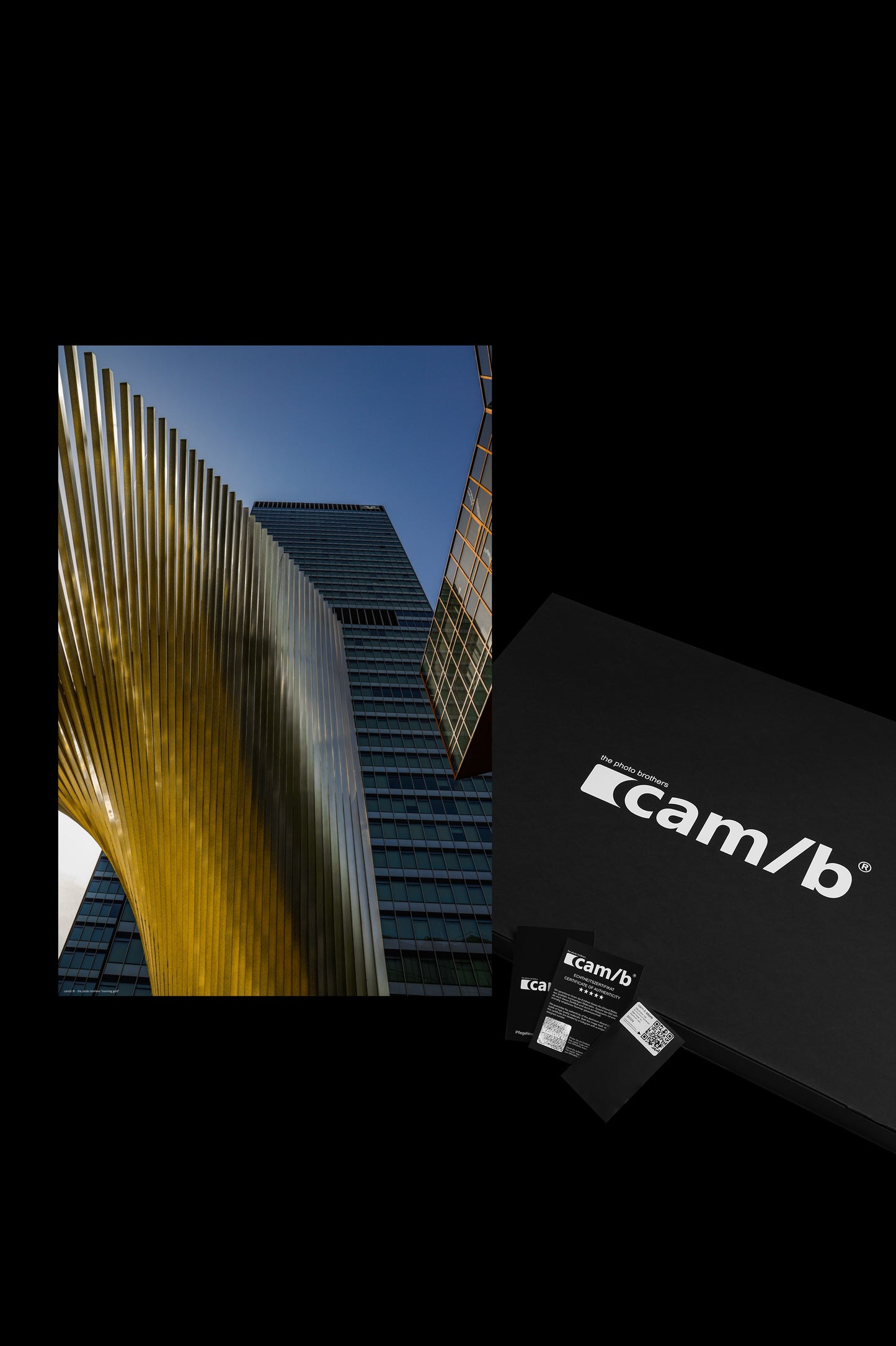 Wandbild "morning gold"