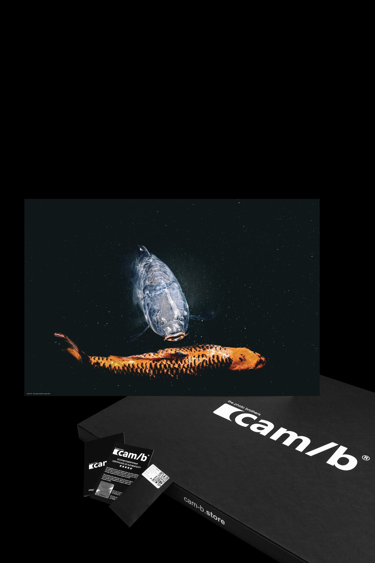 Wandbild "space fish"