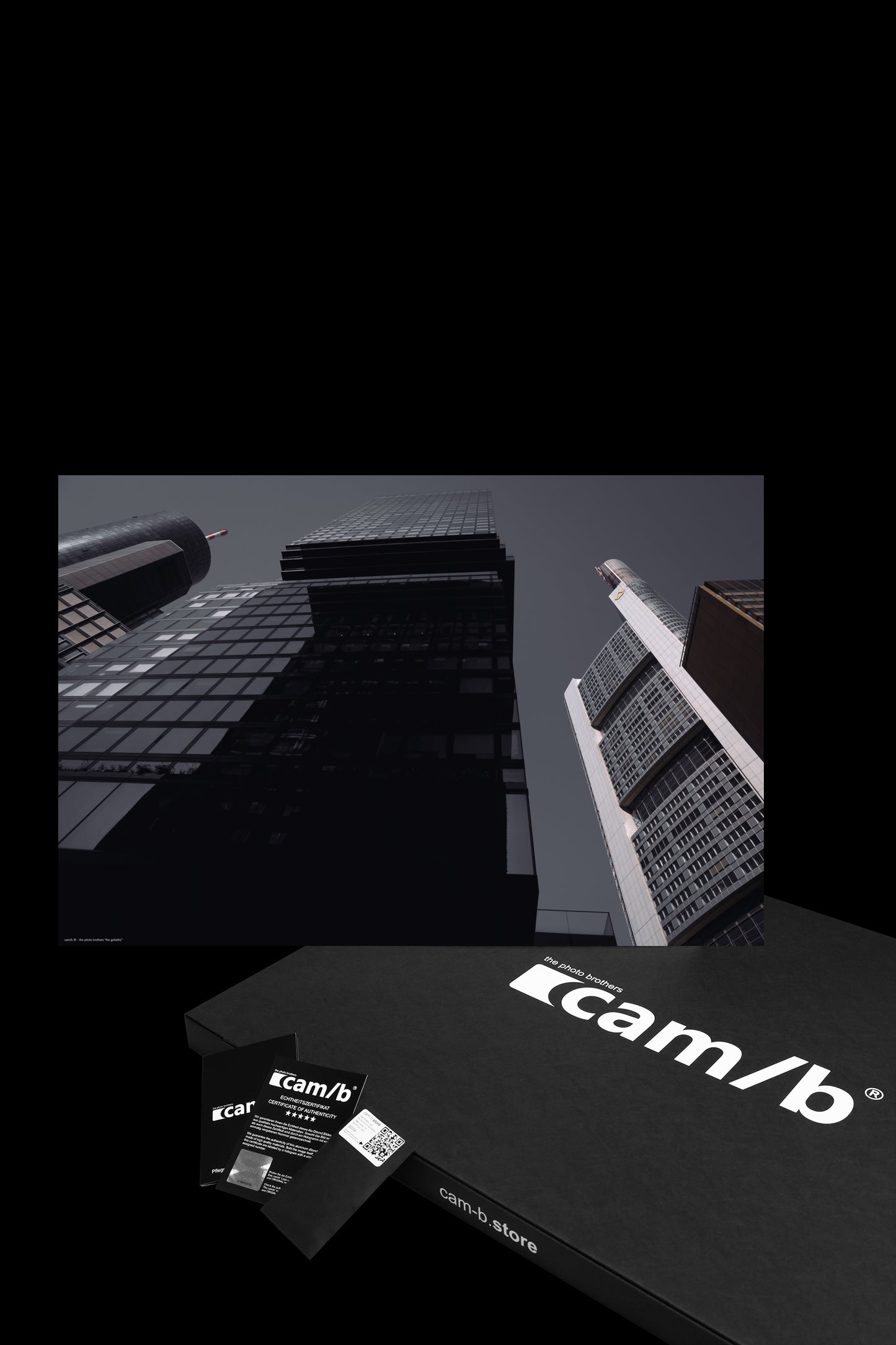 Wandbild "the goliaths"