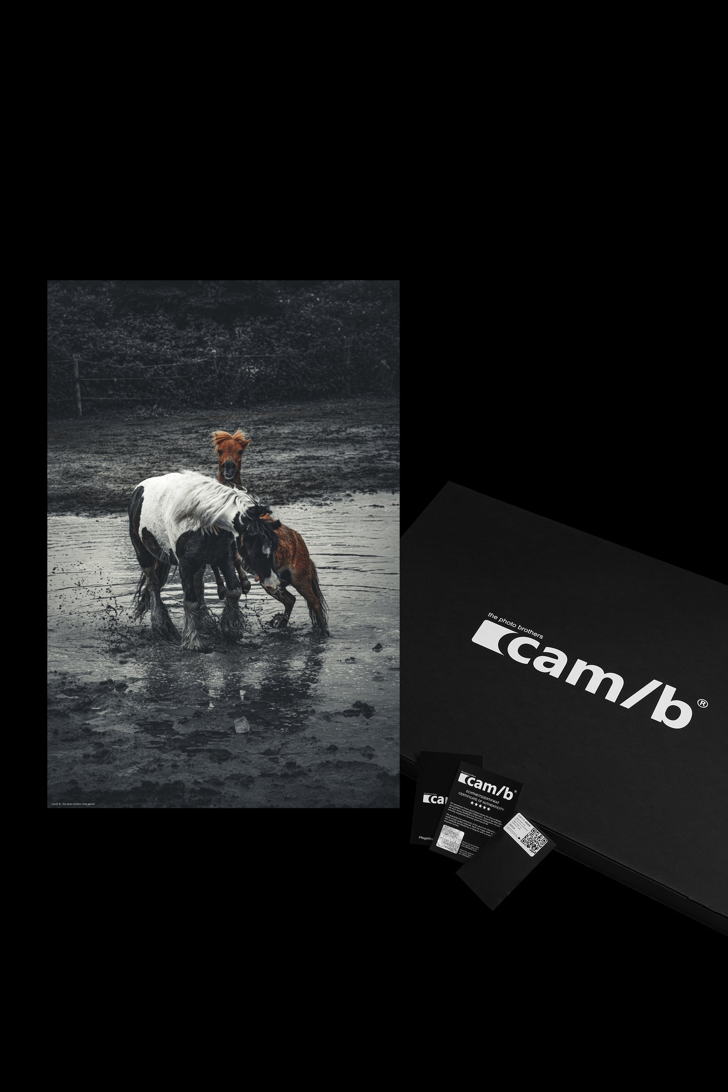 Wandbild "dirty games"