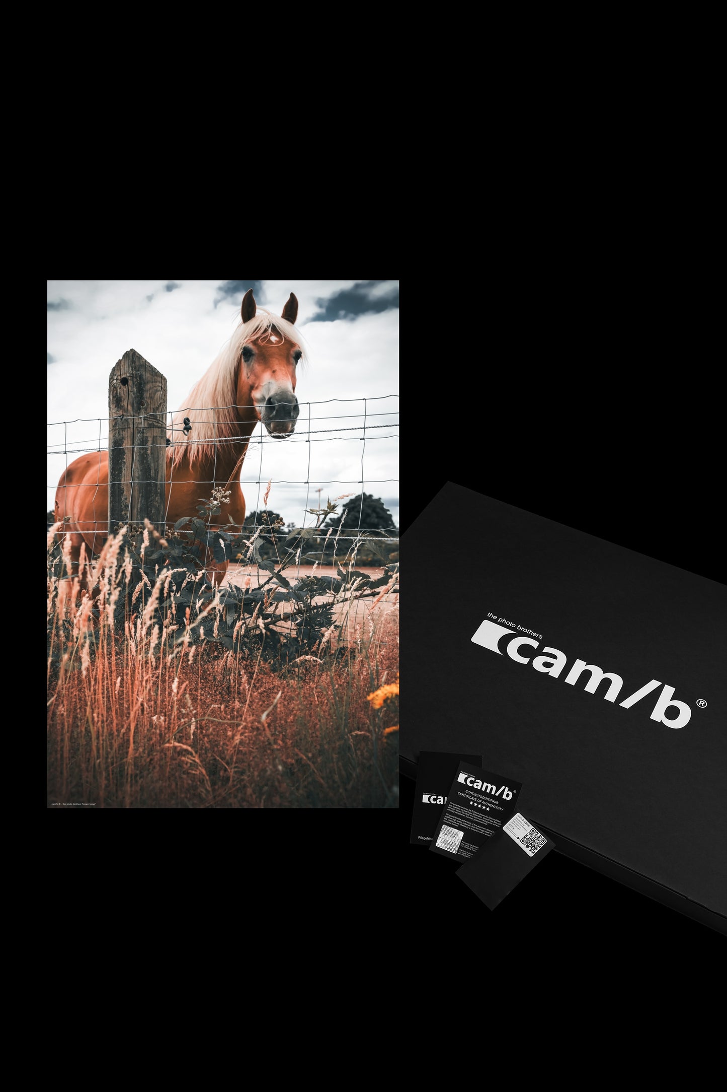 Wandbild "brown horse"