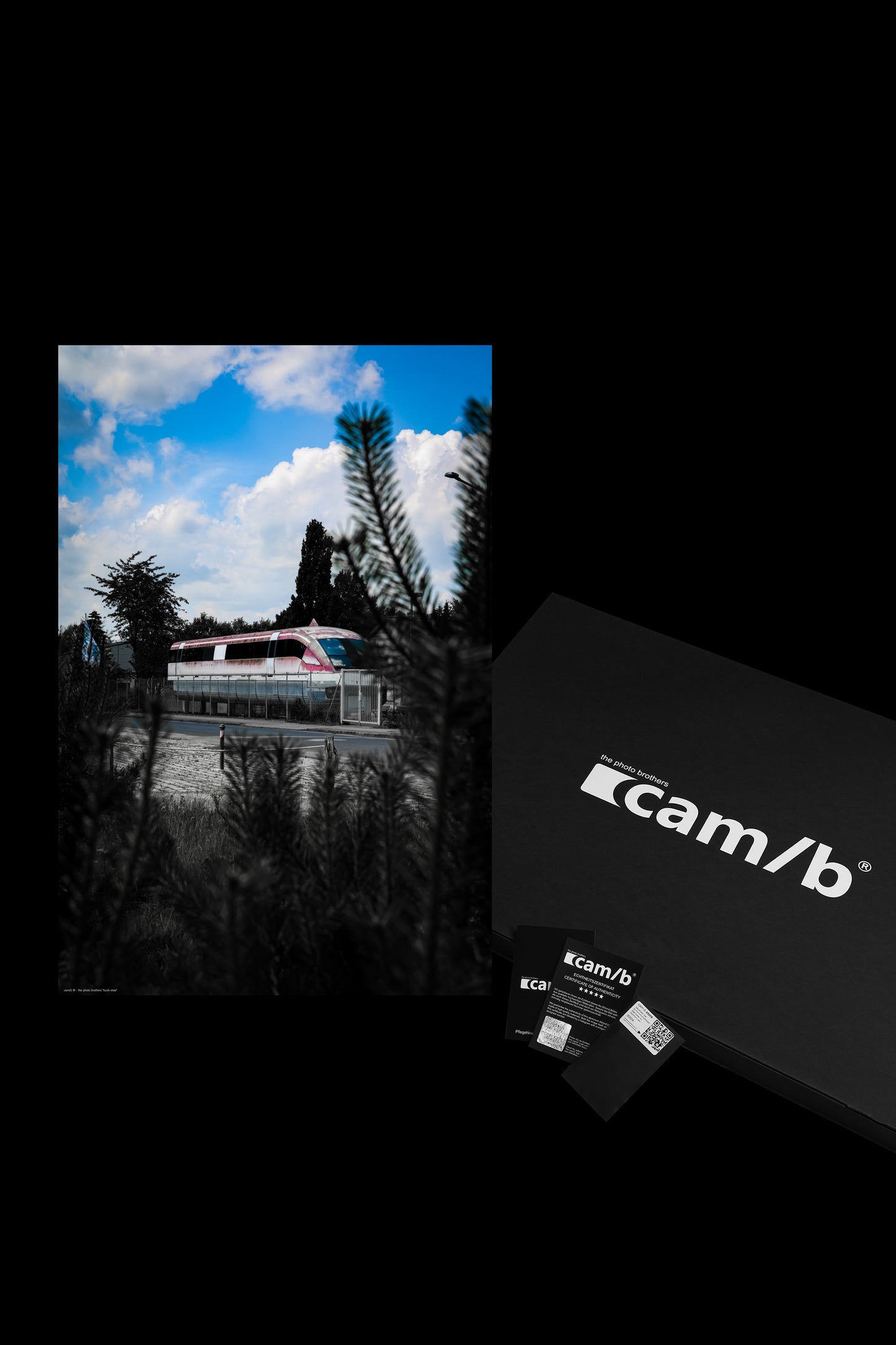 Wandbild "bush view"