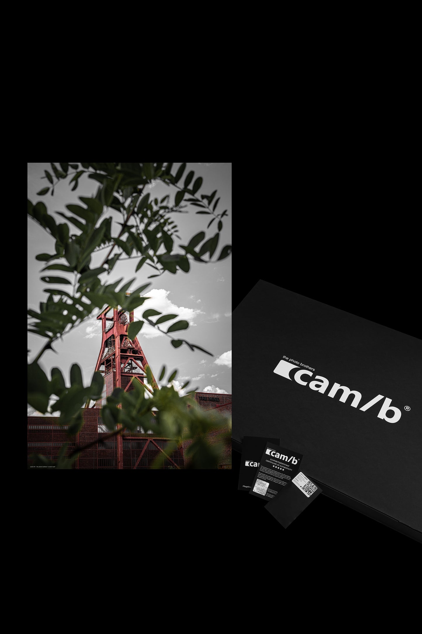 Wandbild "a short look"