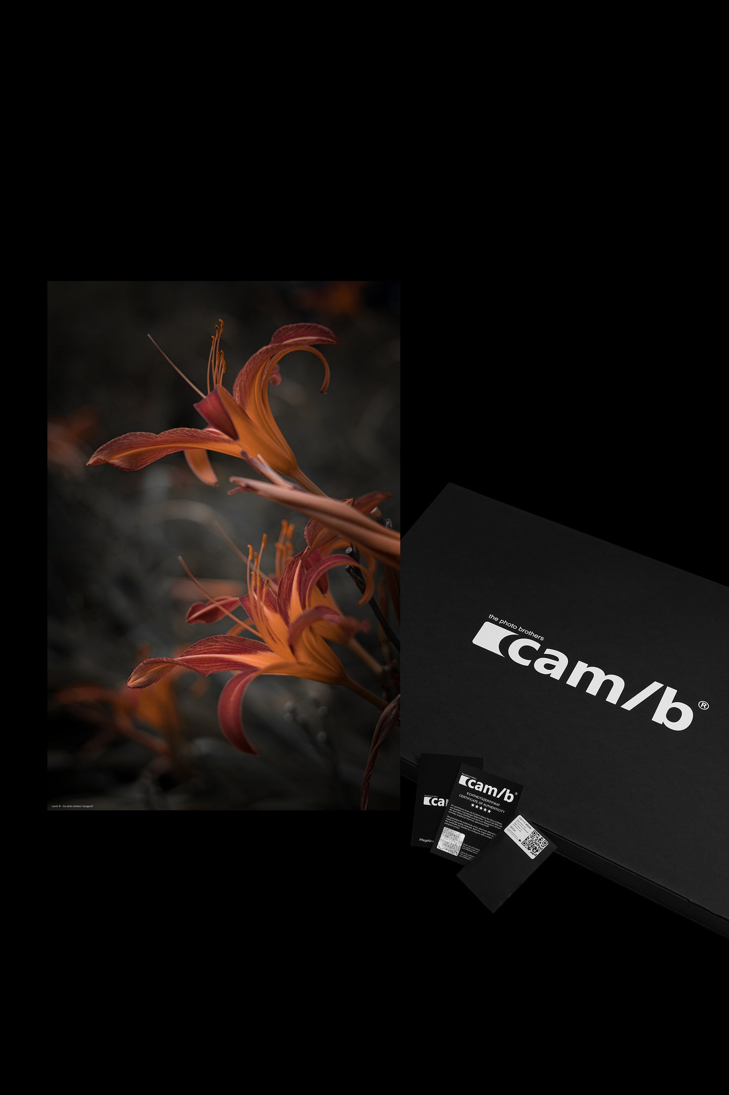 Wandbild "orangered"