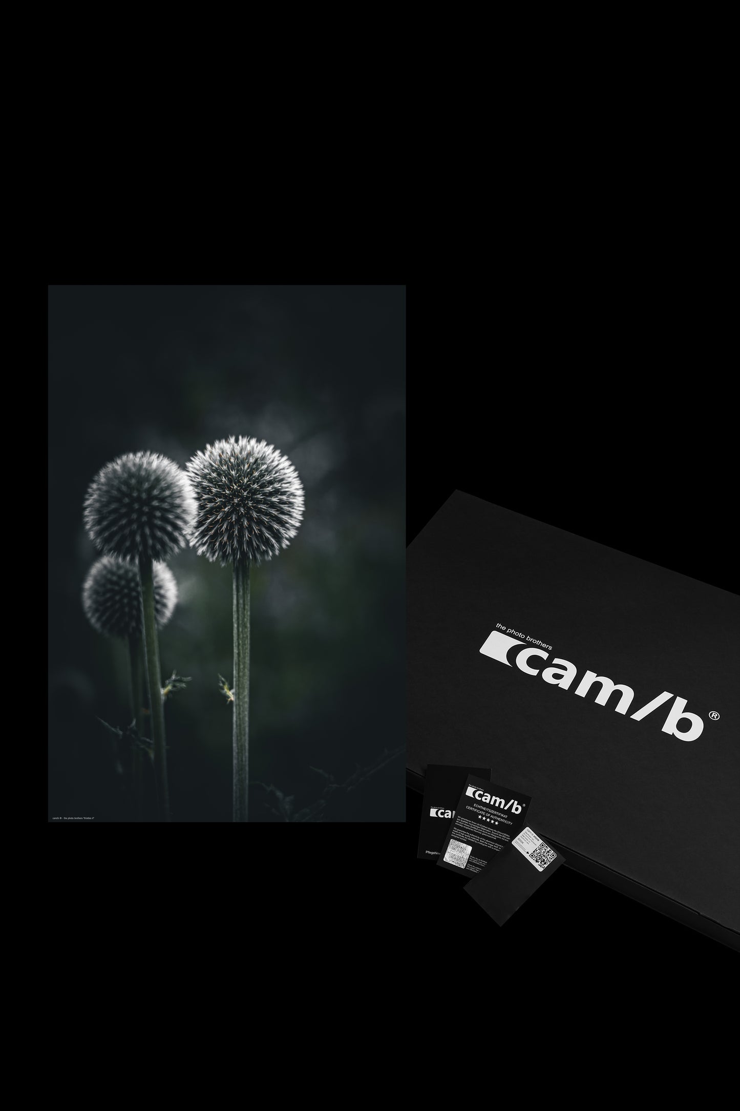 Wandbild "thistles rl"