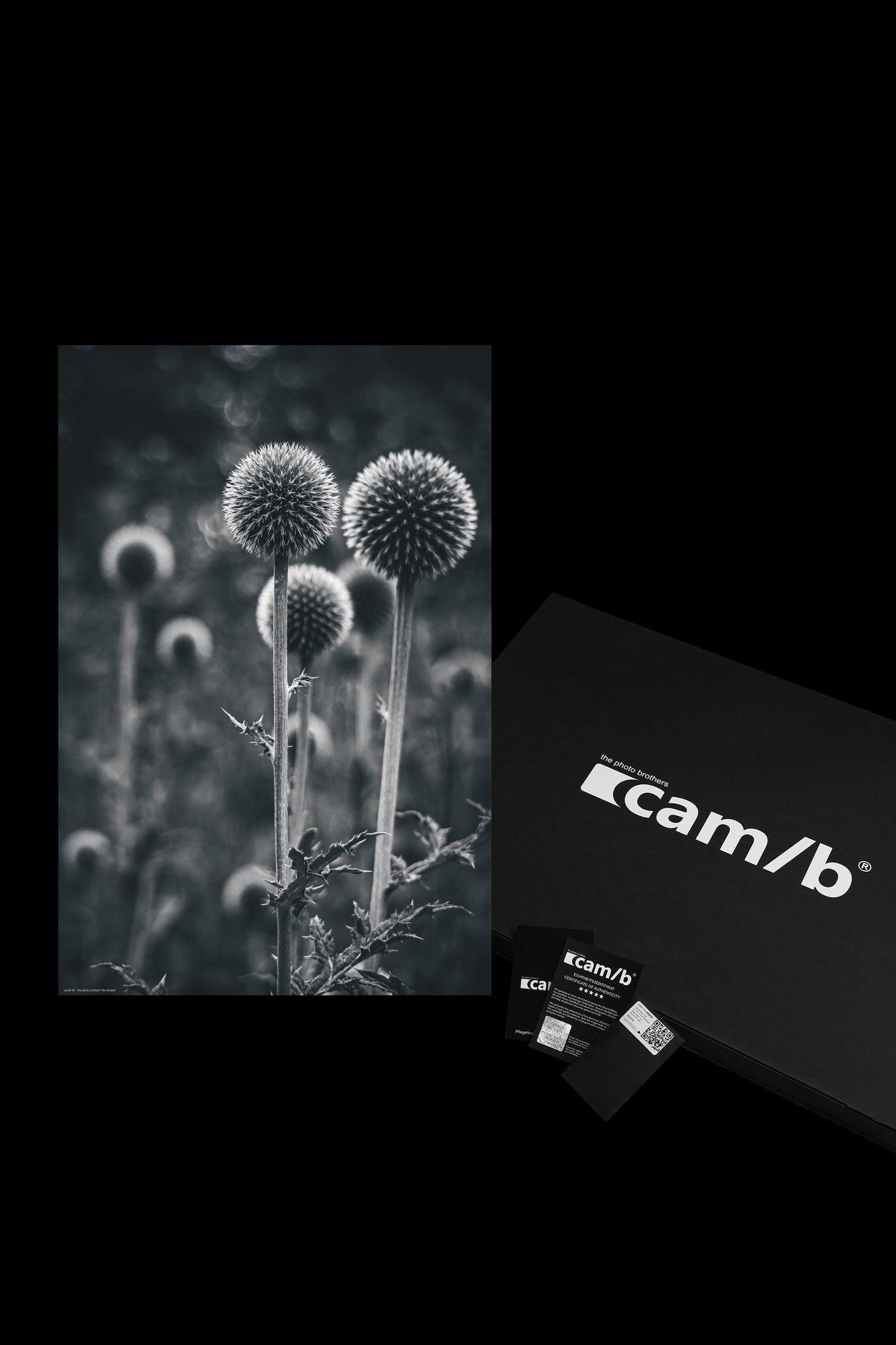 Wandbild "the thistles"