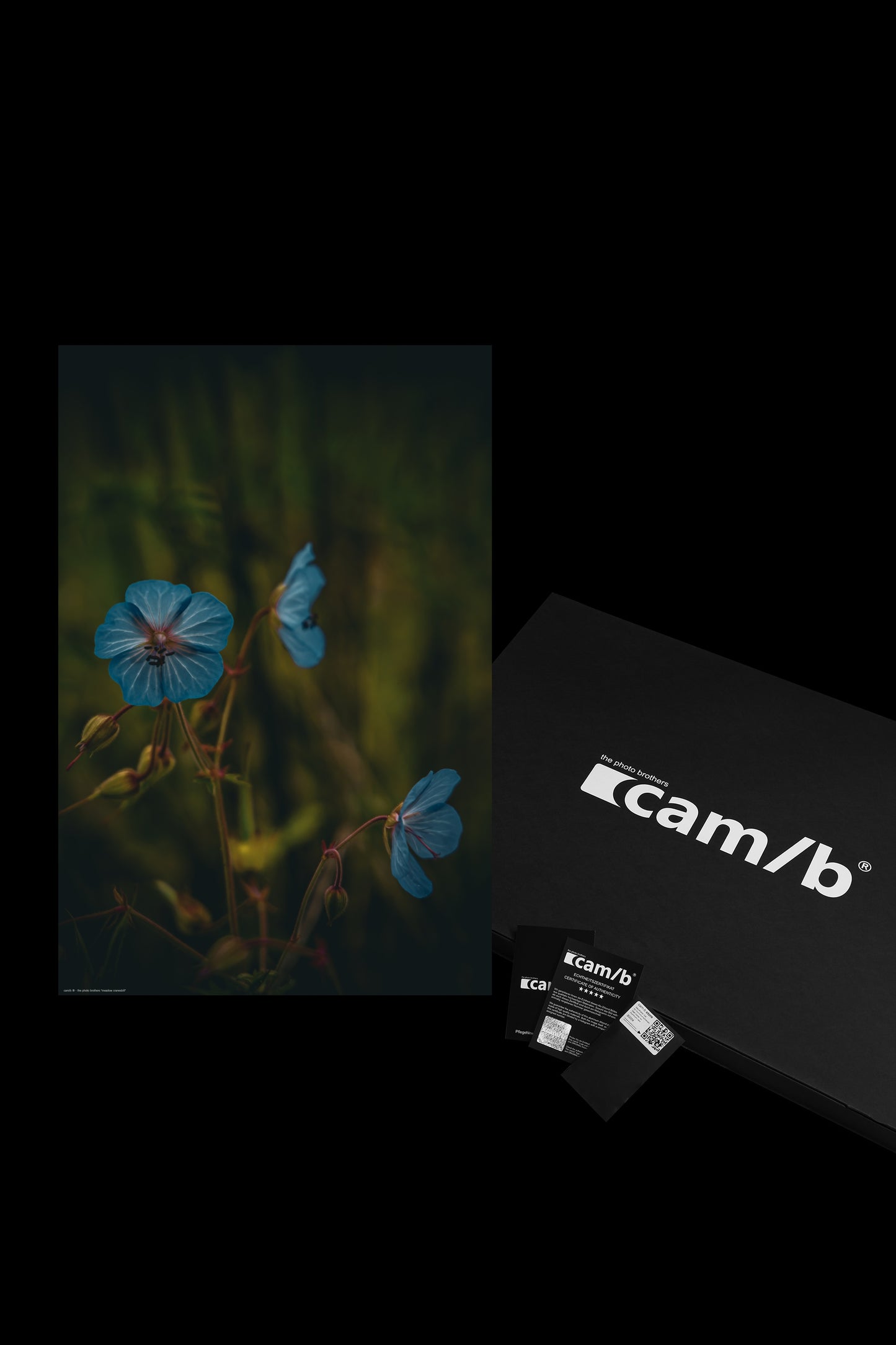 Wandbild "meadow cranesbill"