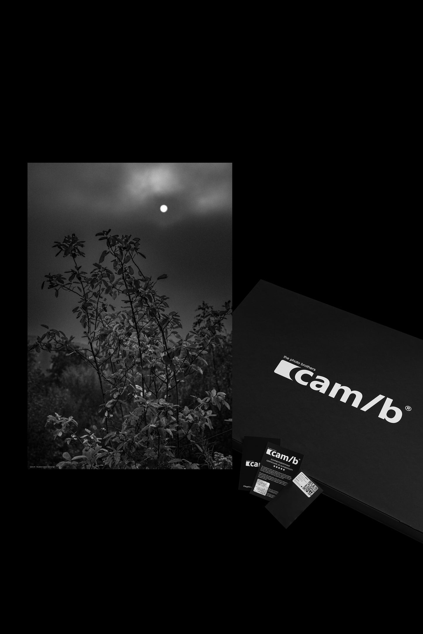 Wandbild "sunrise fog"