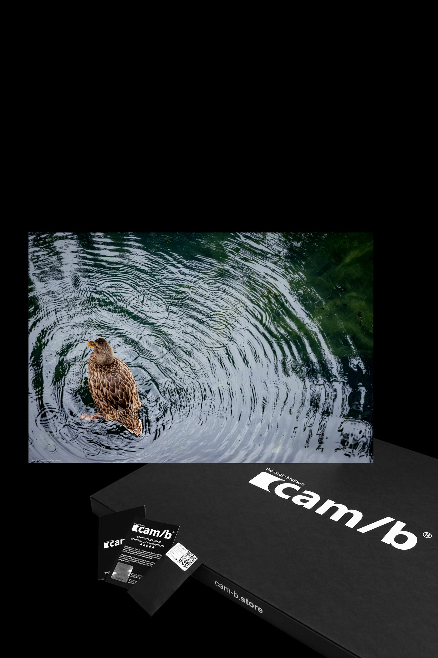 Wandbild "spin me round"