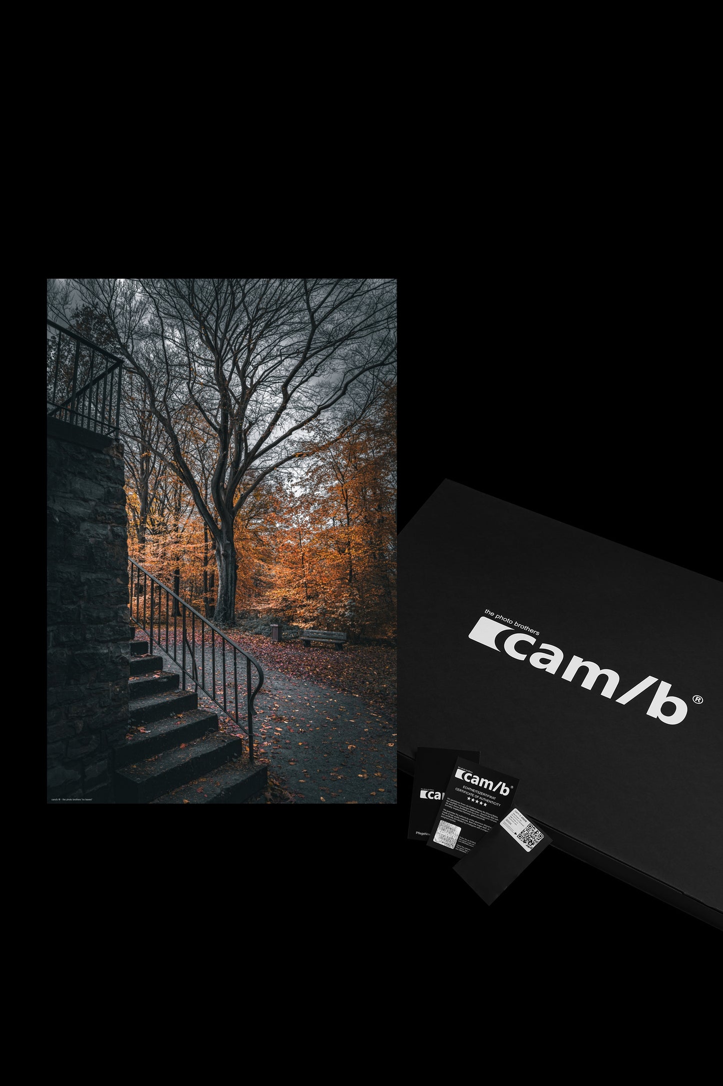 Wandbild "no leaves"