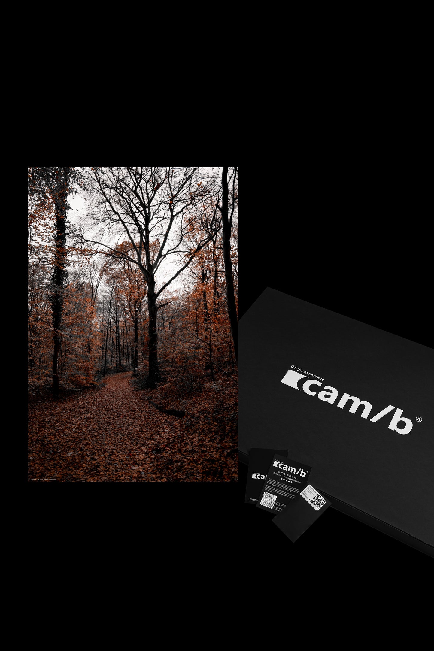 Wandbild "on my way"