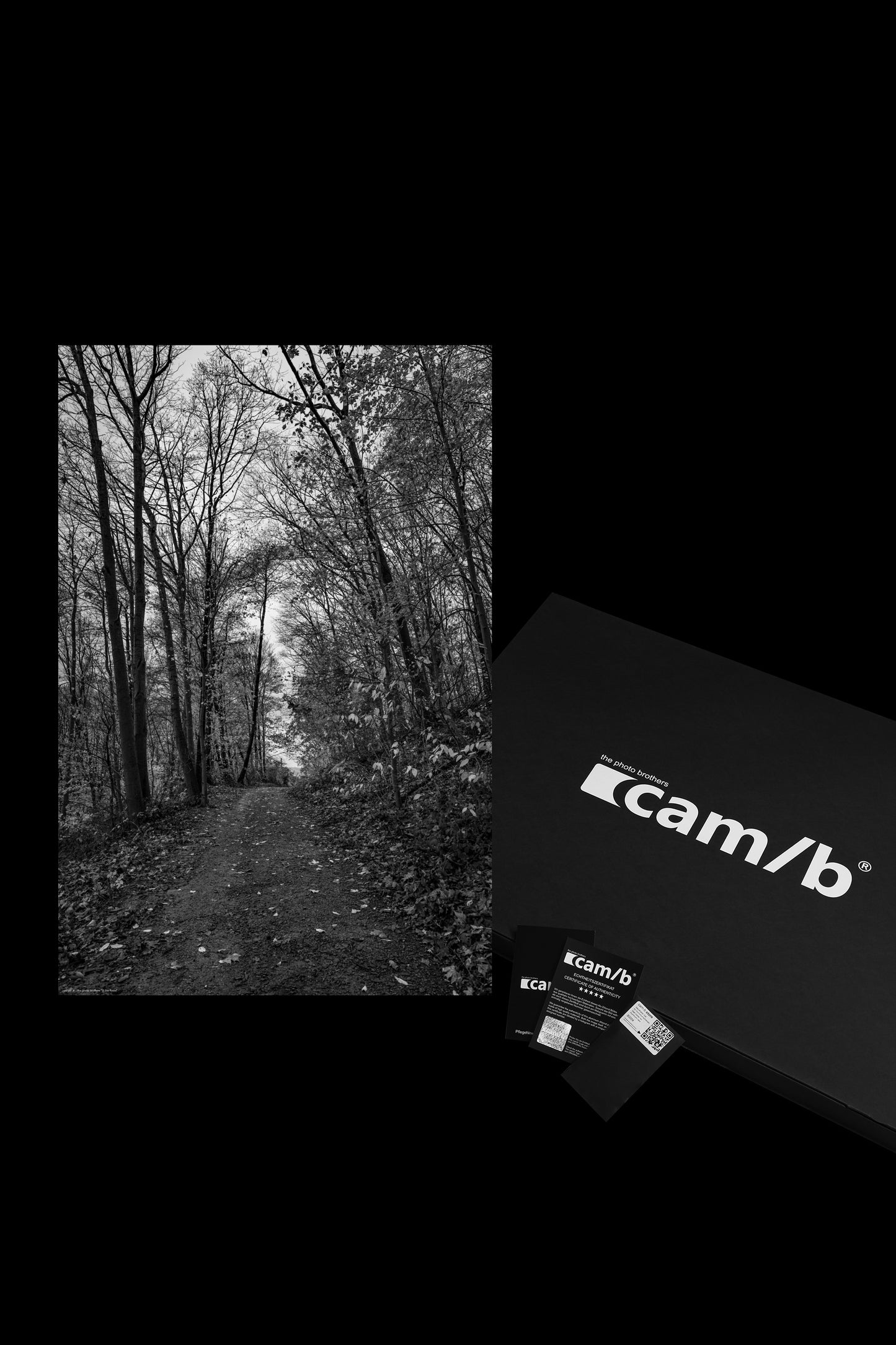 Wandbild "in the forest"