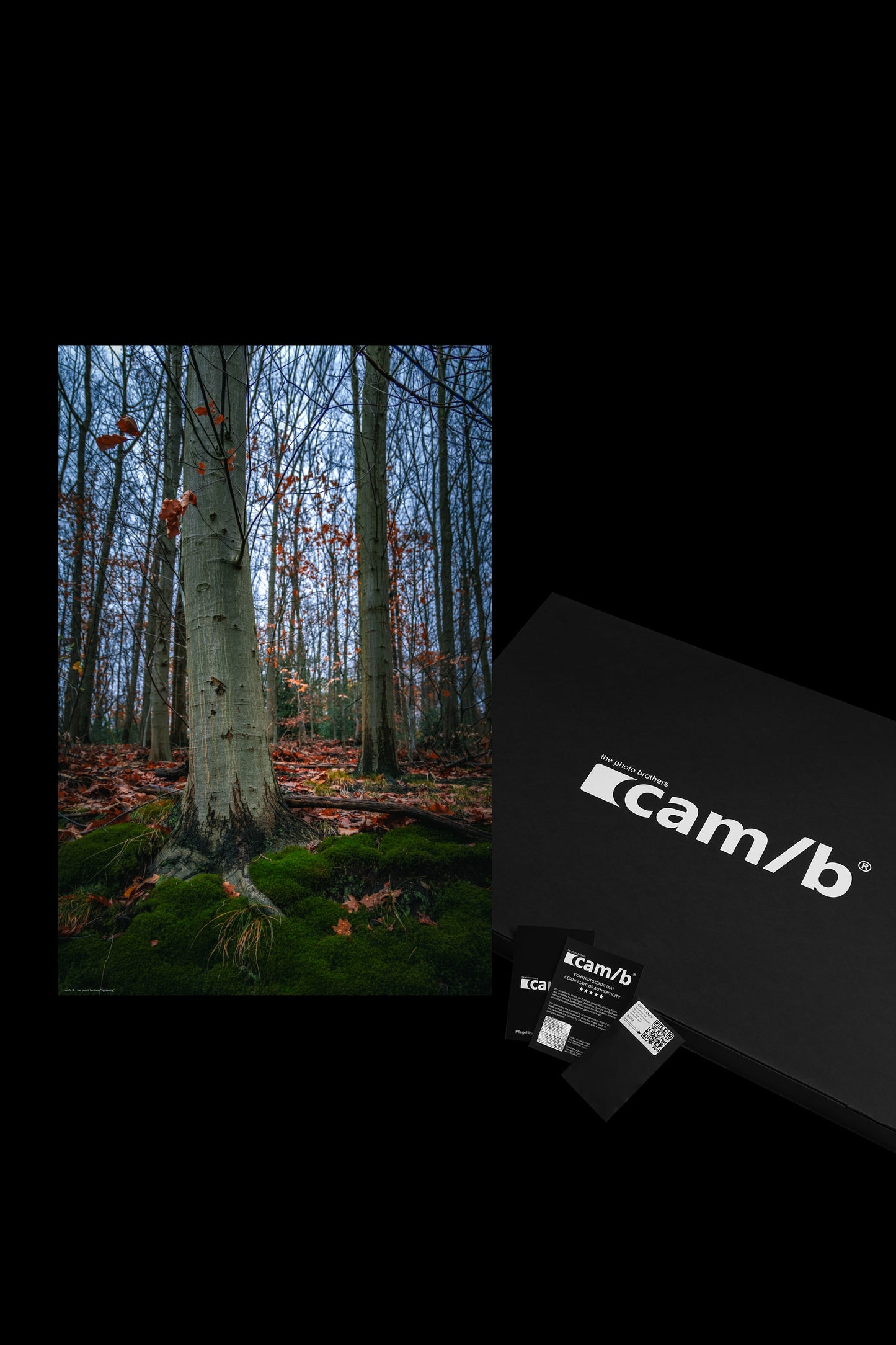 Wandbild "lightening"