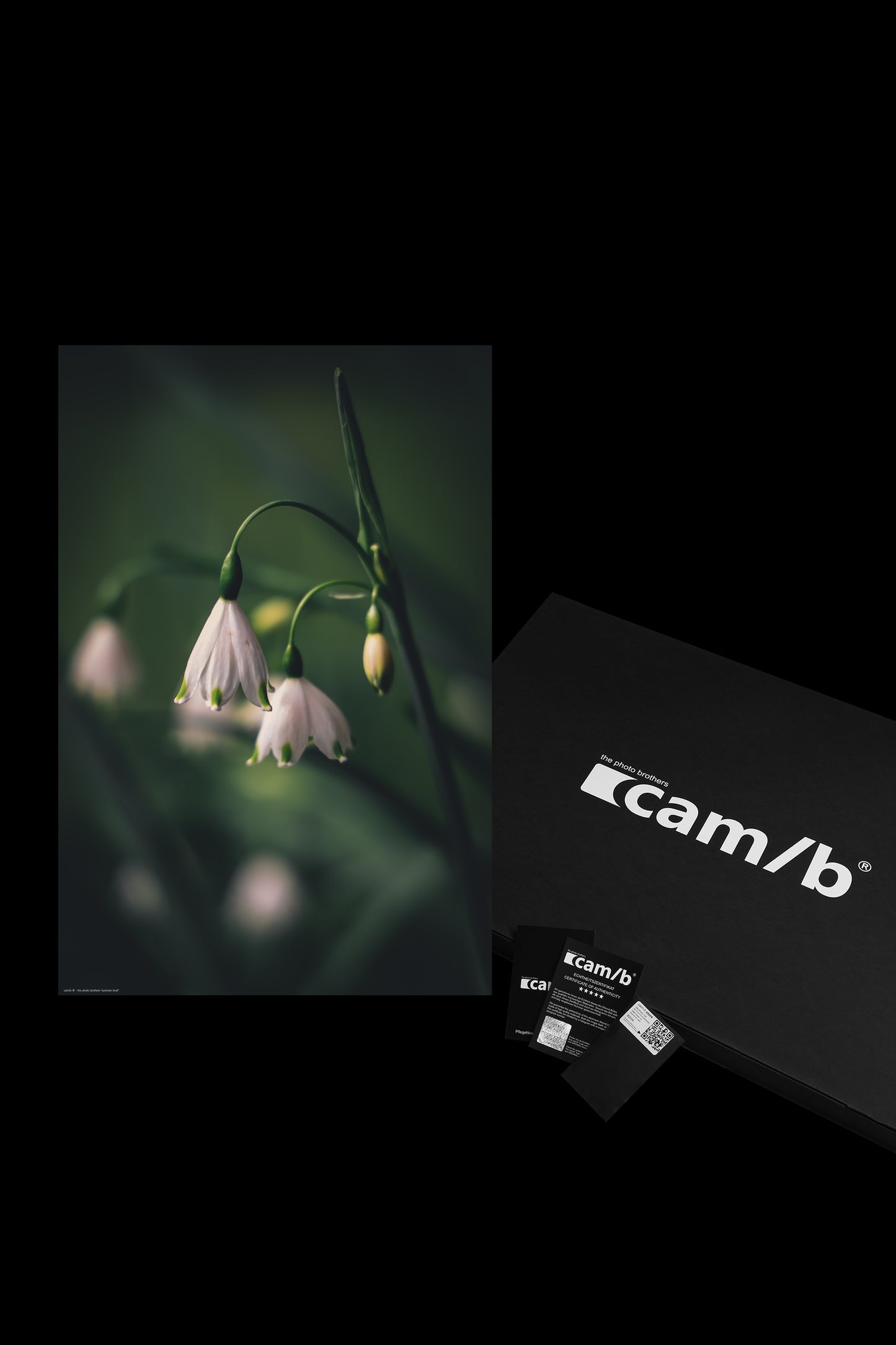 Wandbild "summer knot"