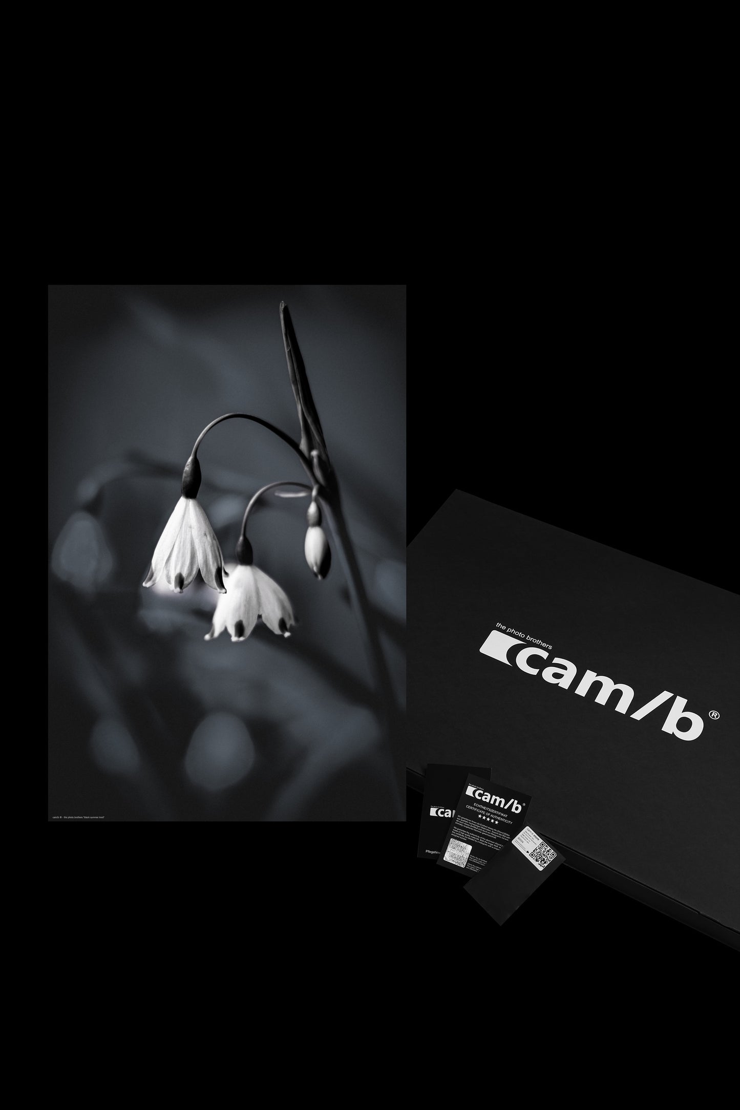 Wandbild "black summer knot"