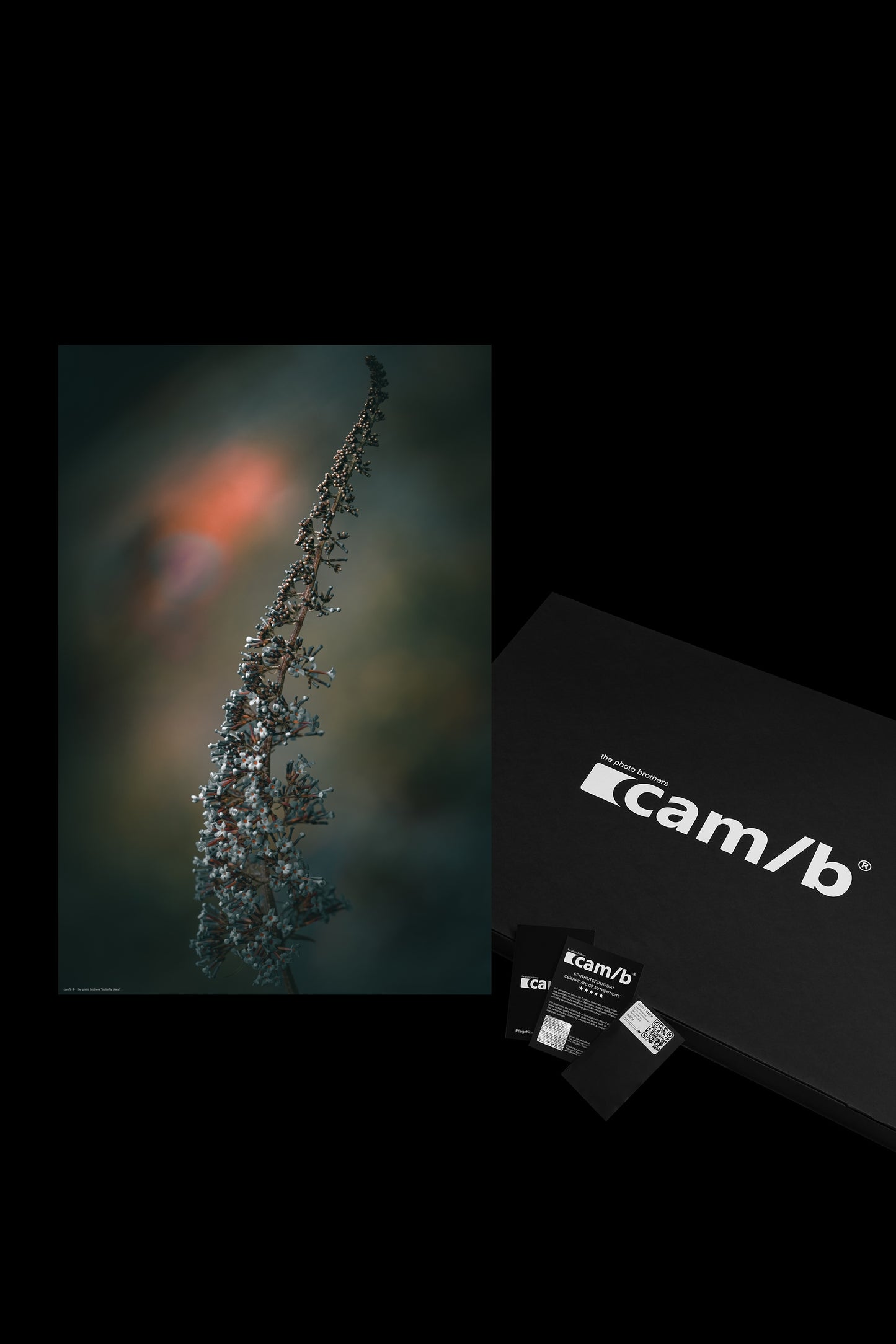 Wandbild "butterfly place"