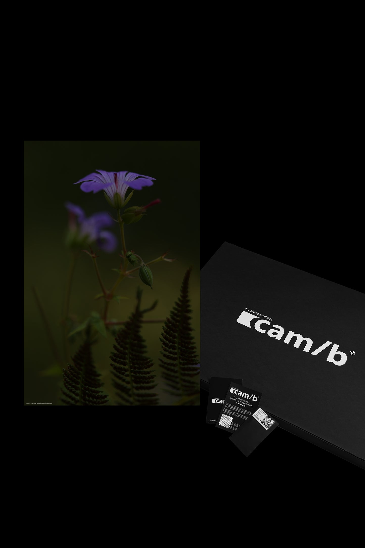 Wandbild "meadow cranesbill rl"