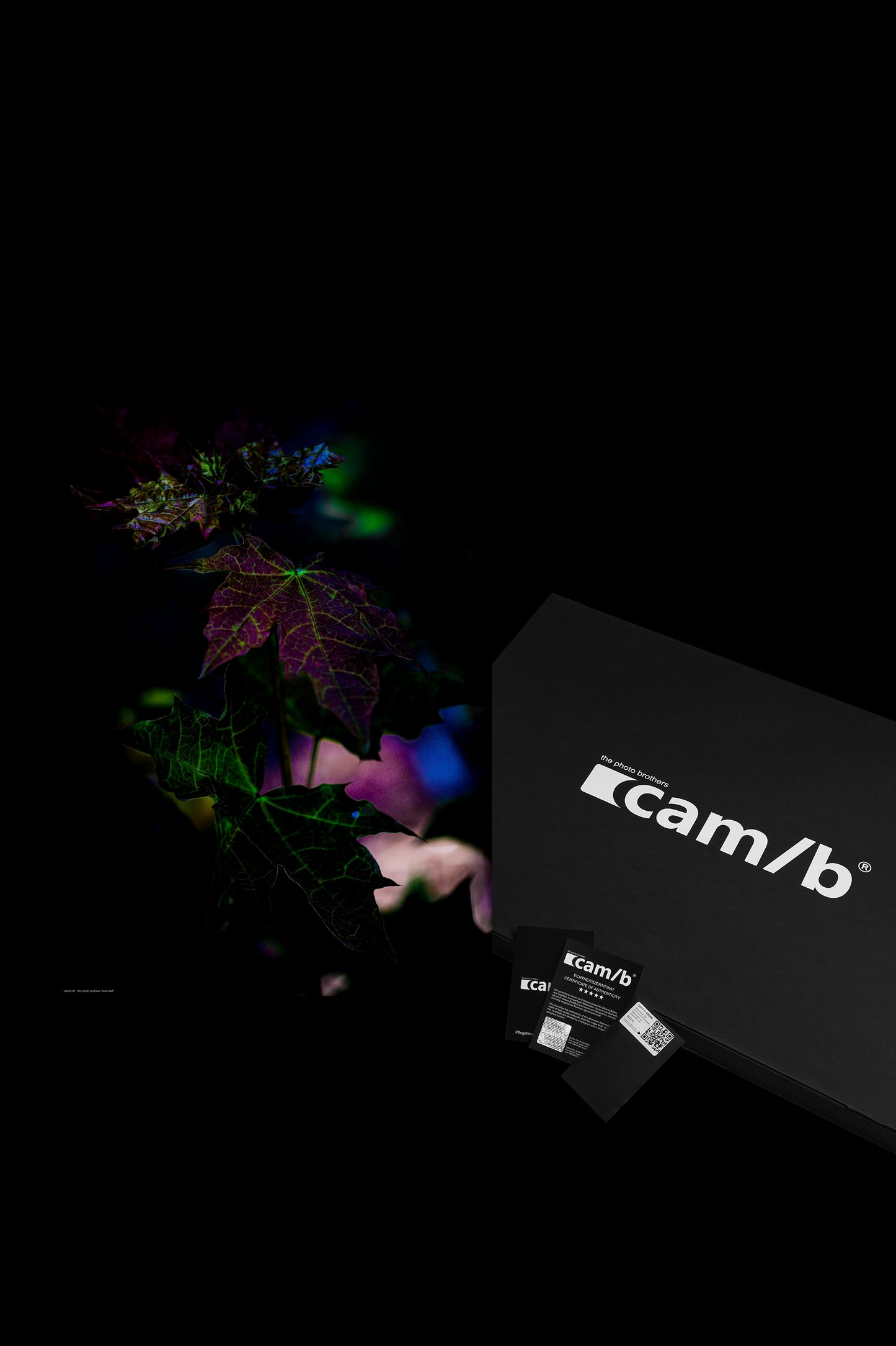 Wandbild "neon leaf"