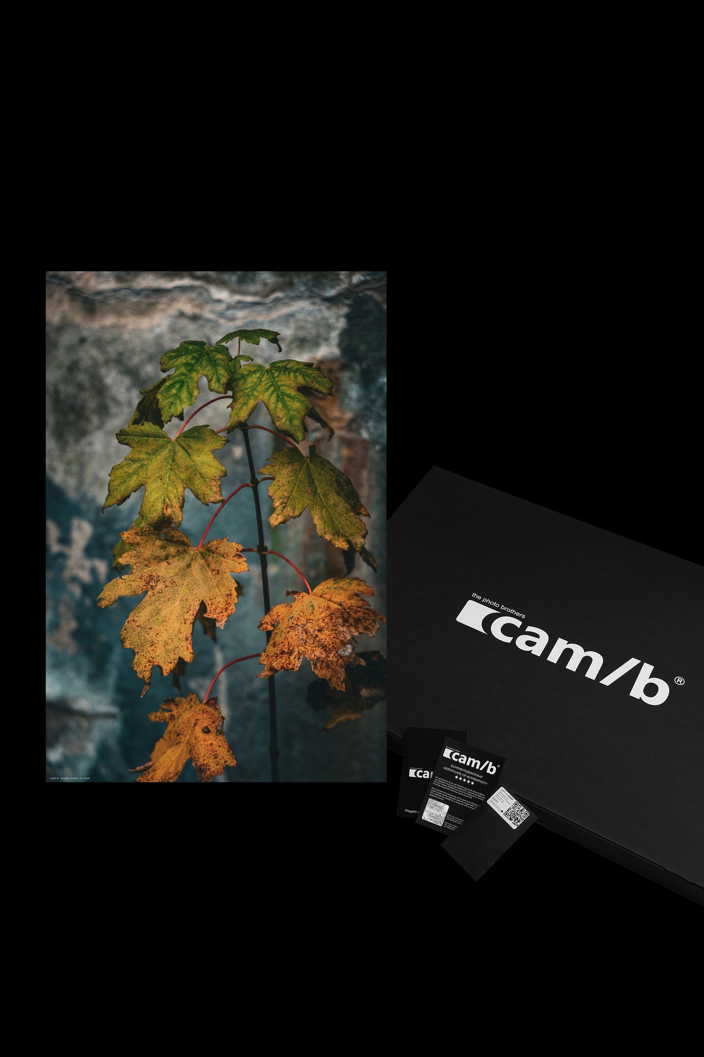 Wandbild "mr. maple"