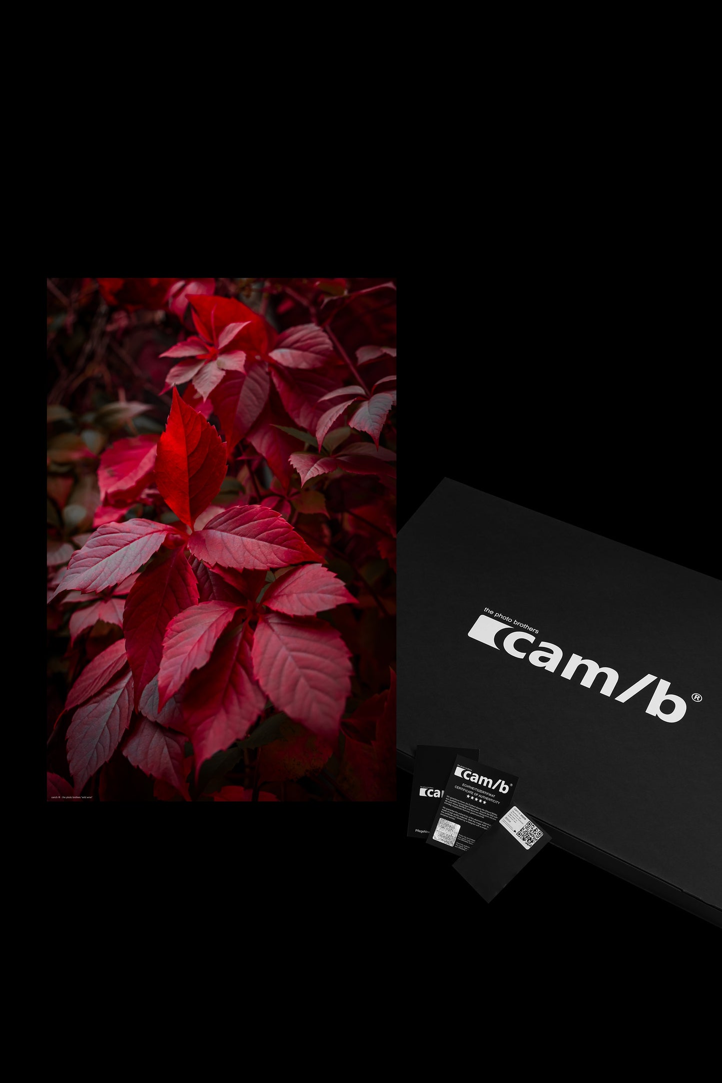 Wandbild "wild wine"