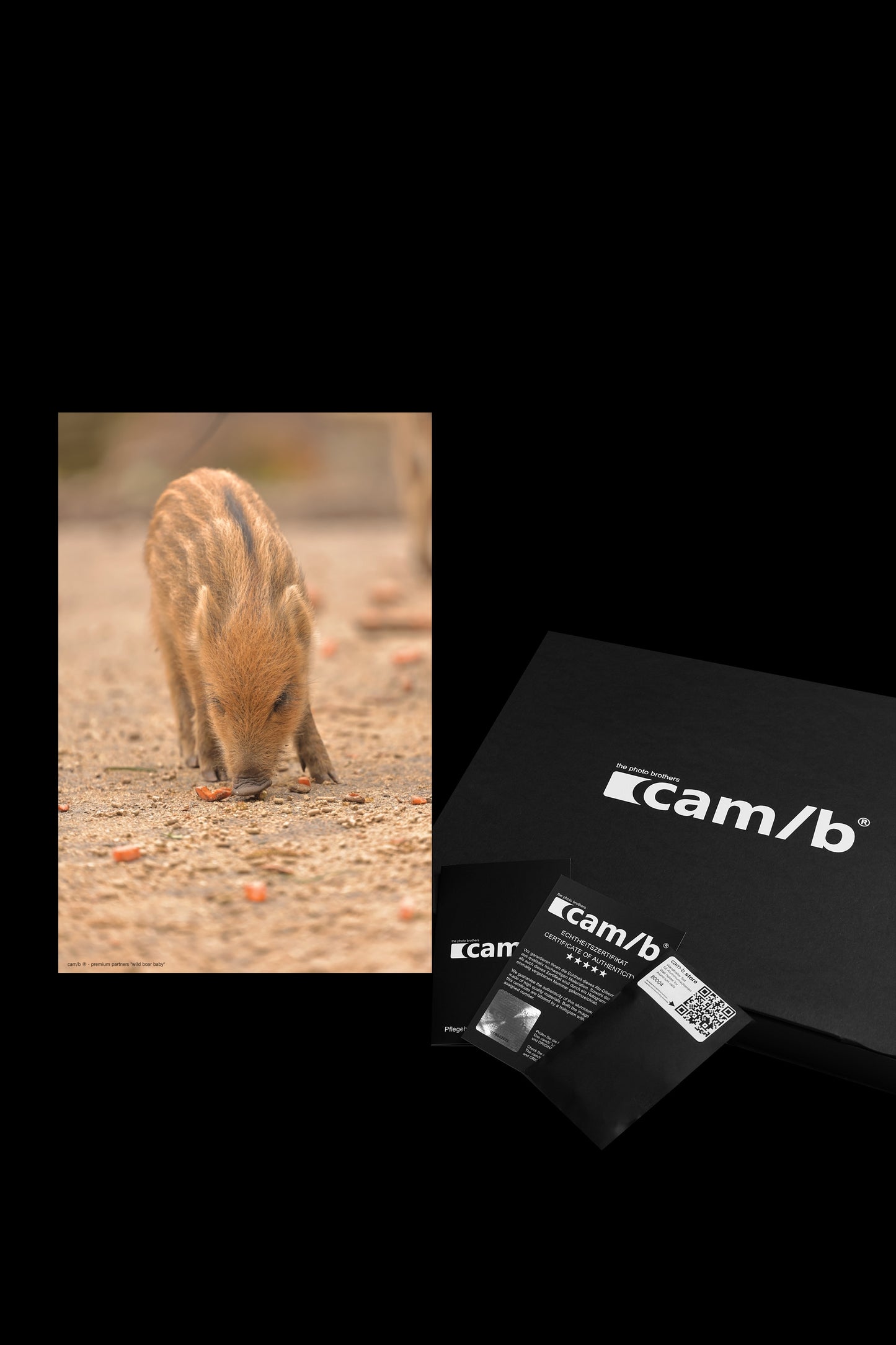 Wandbild "wild boar baby"