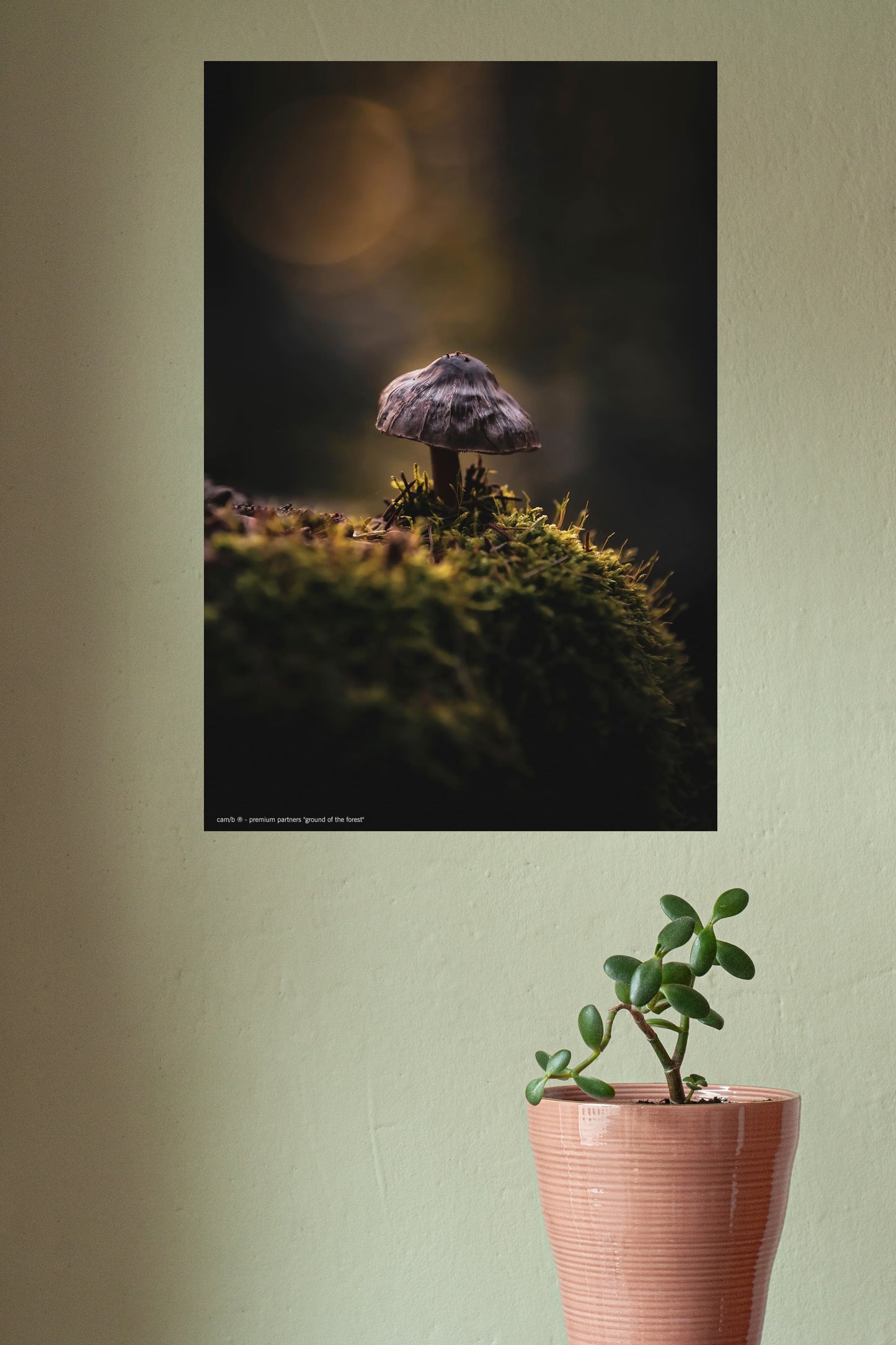 Wandbild "ground of the forest"