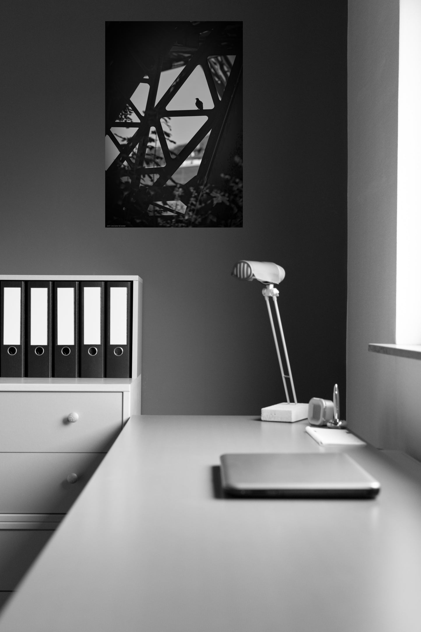 Wandbild "dark columbidae"