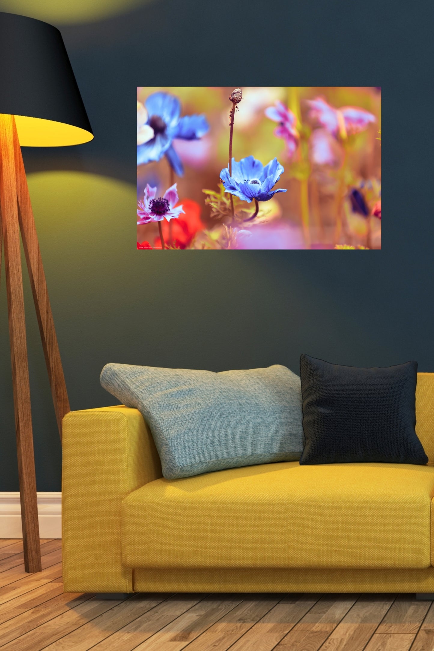 Wandbild "colors of anemone"