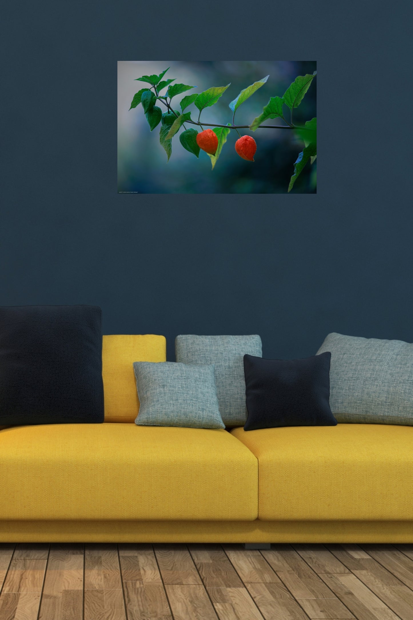 Wall Art "physalis alkekengi"