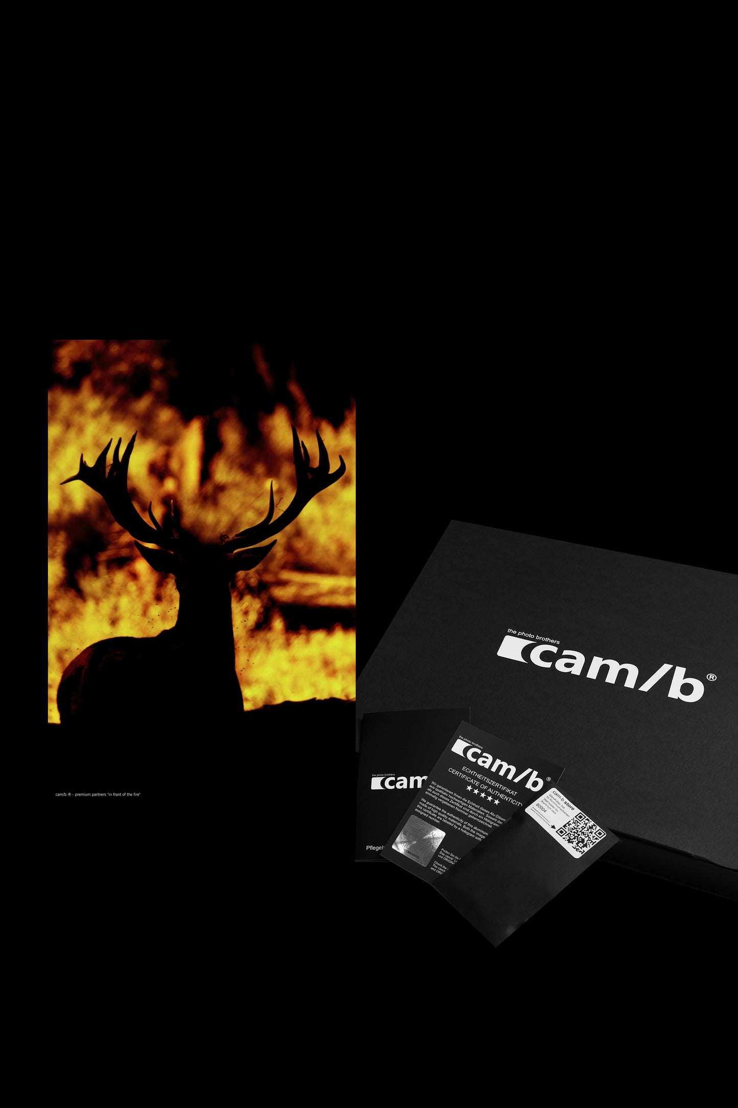 Wandbild "in front of the fire"