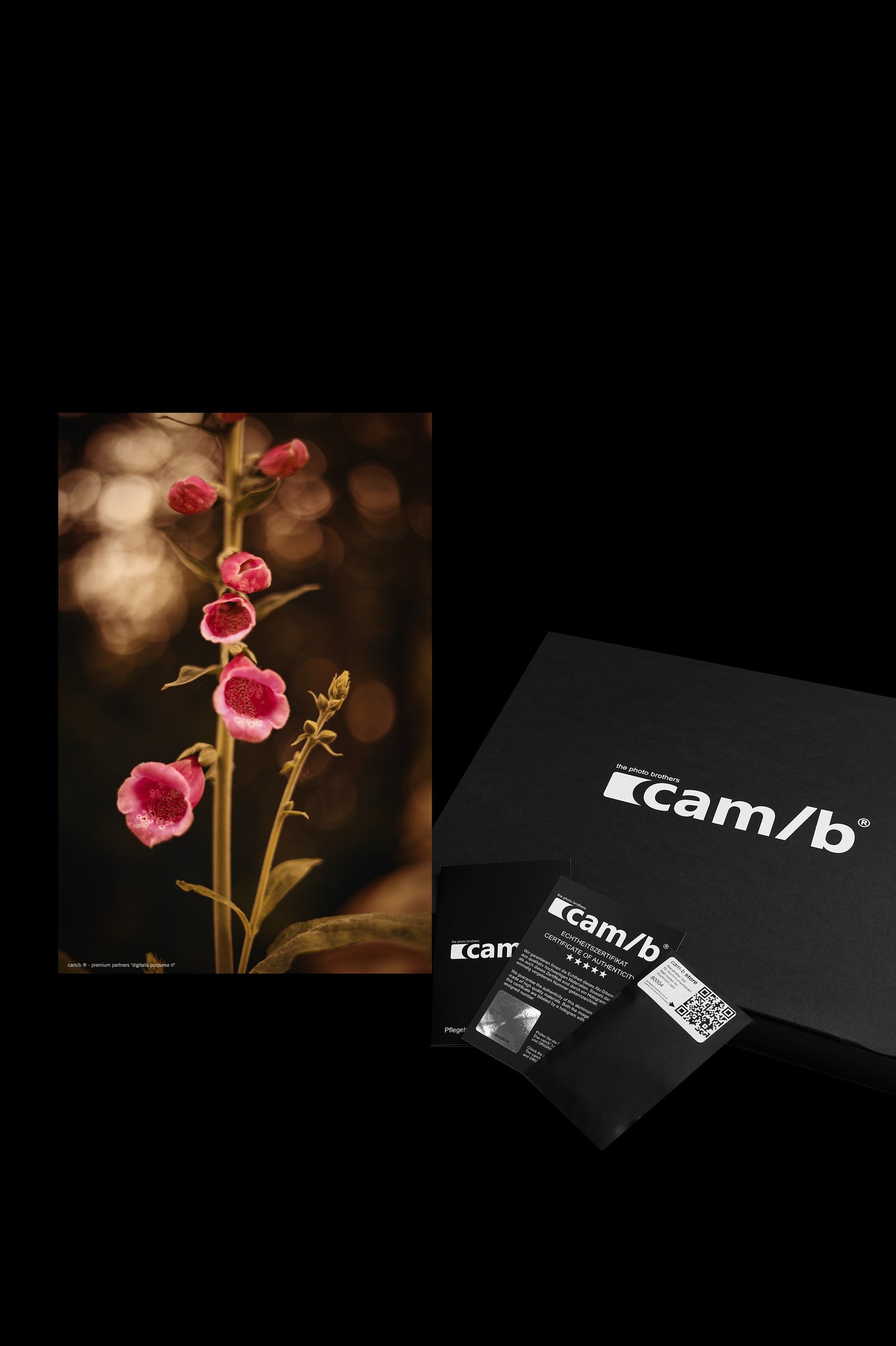 Wandbild "digitalis purpurea rl"