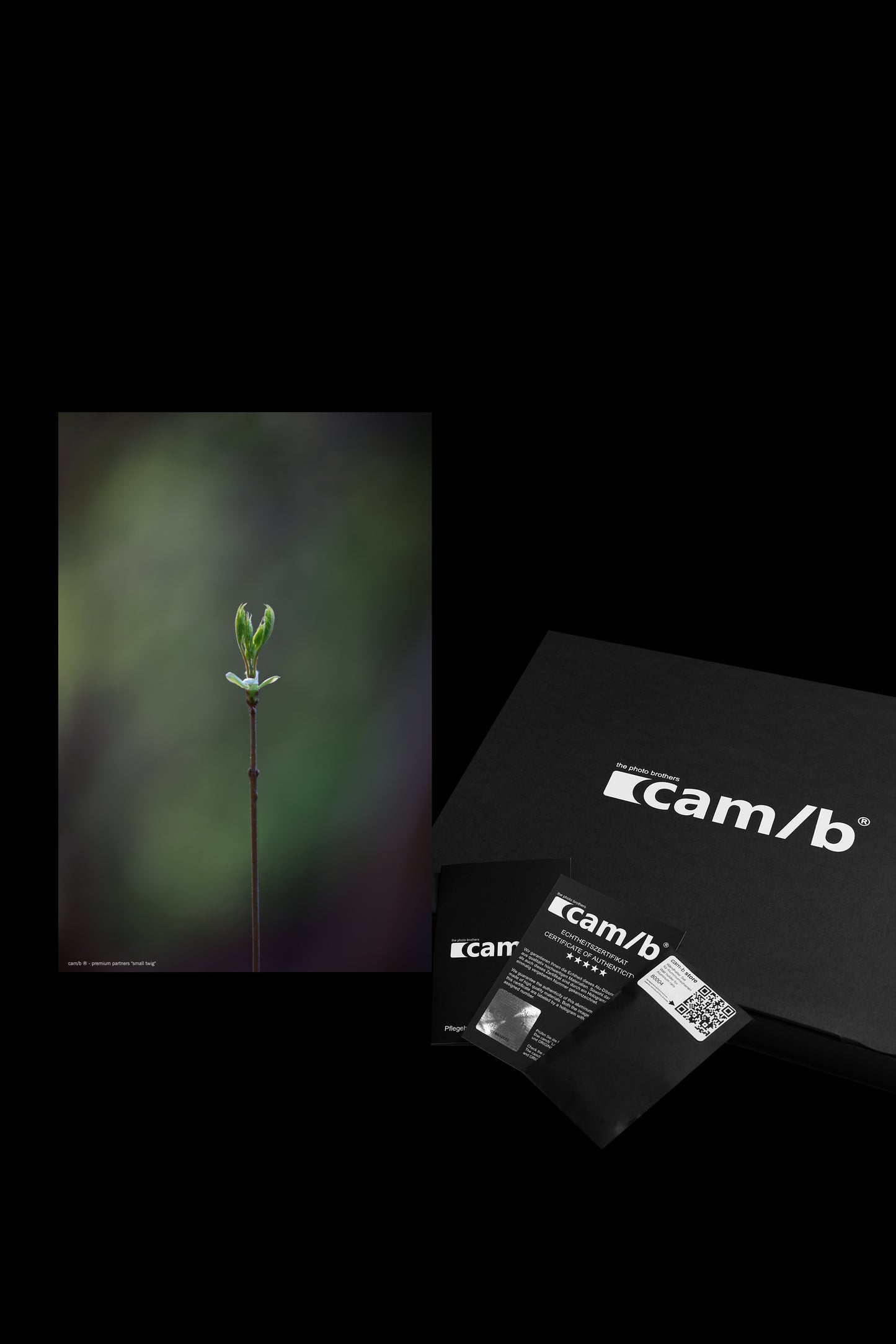 Wandbild "small twig"