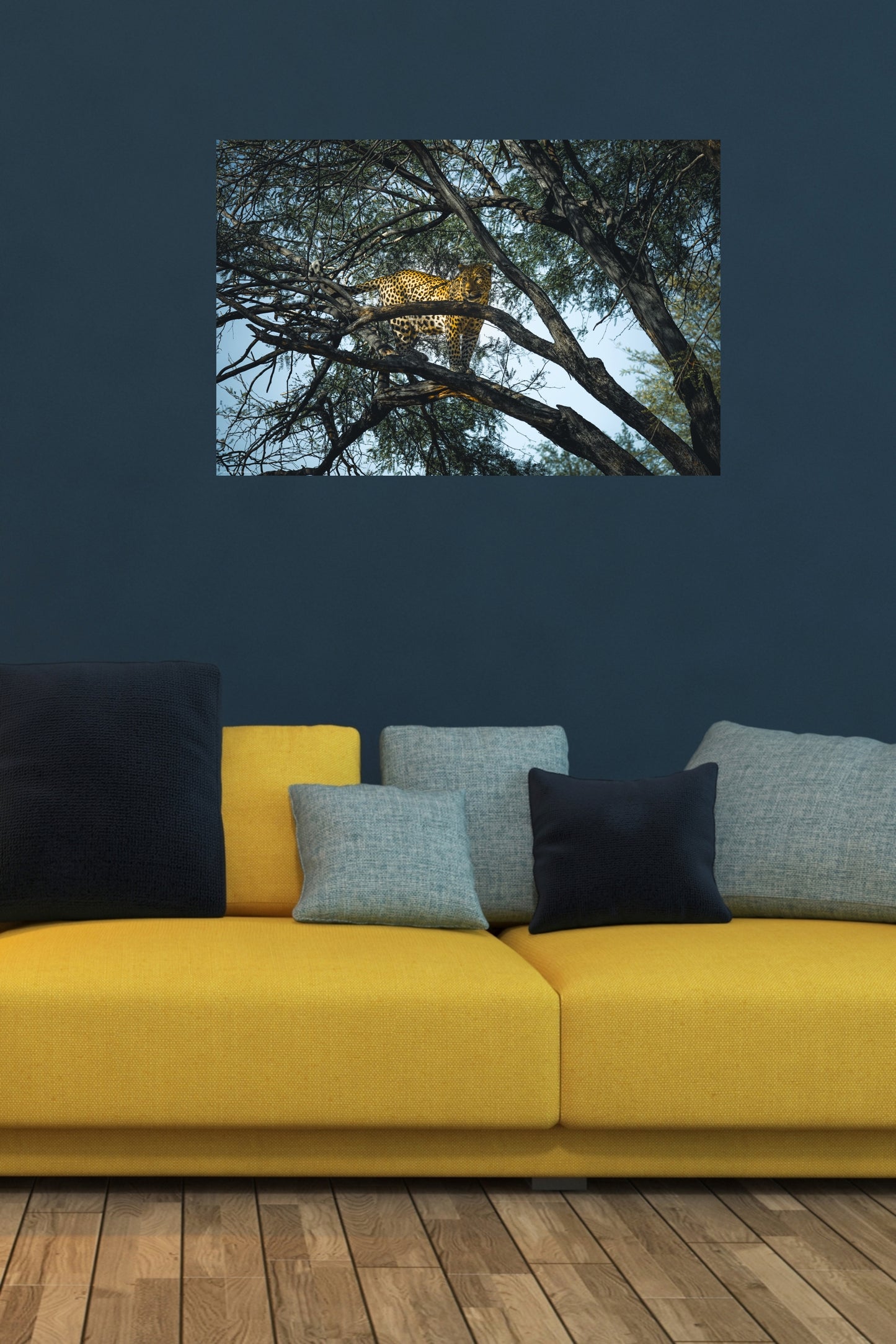 Wandbild "just one look"