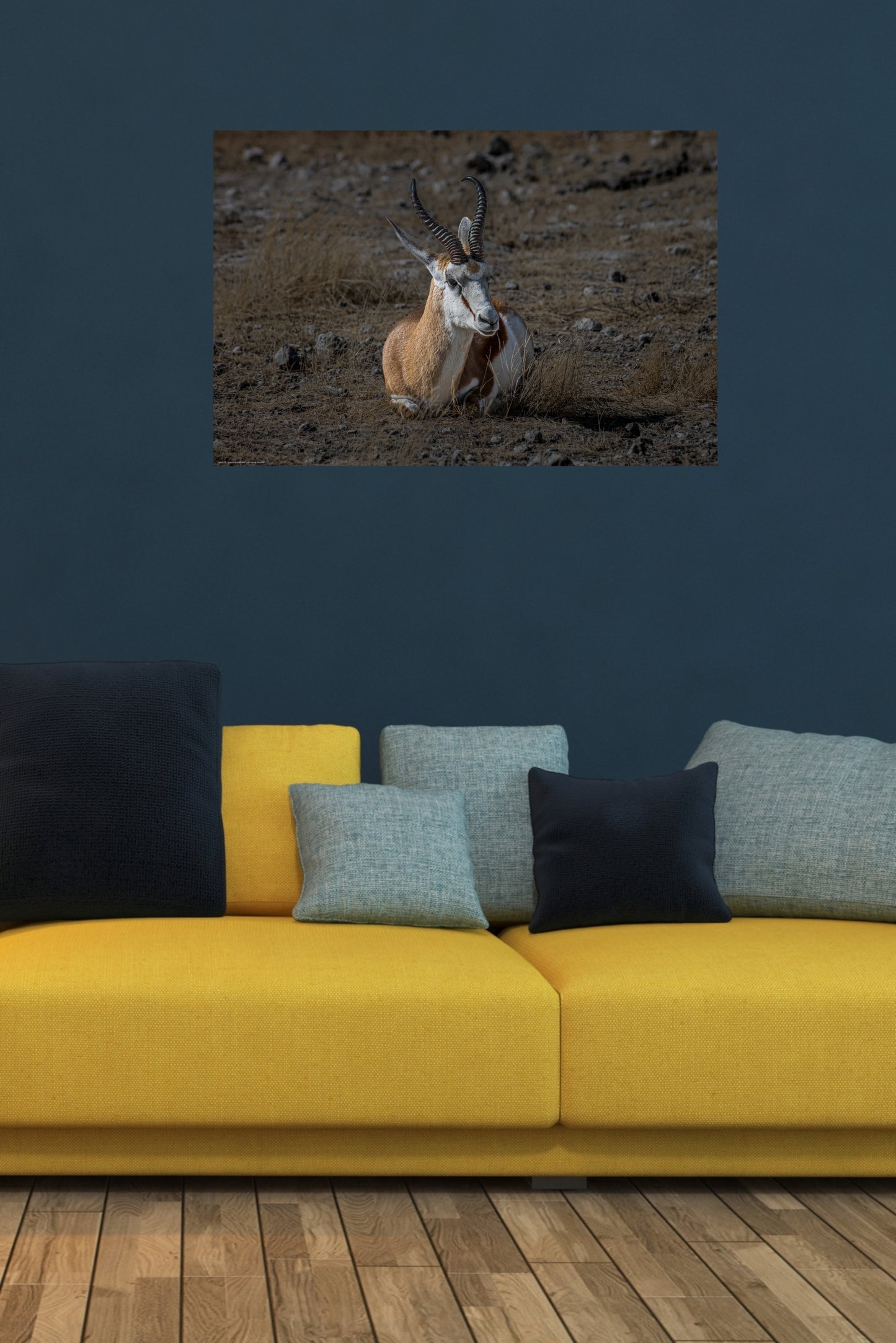 Wandbild "springbok lifestyle"