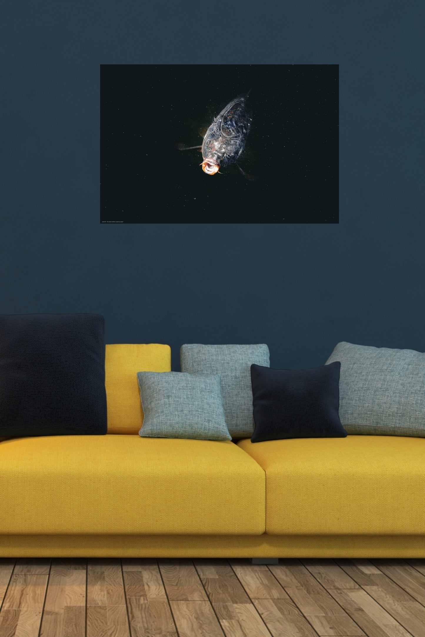 Wandbild "cyprinus carpio"