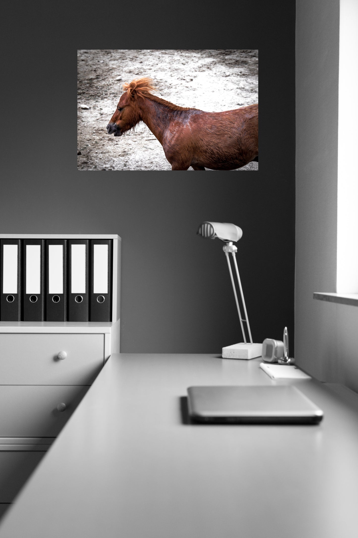Wandbild "lonely pony"