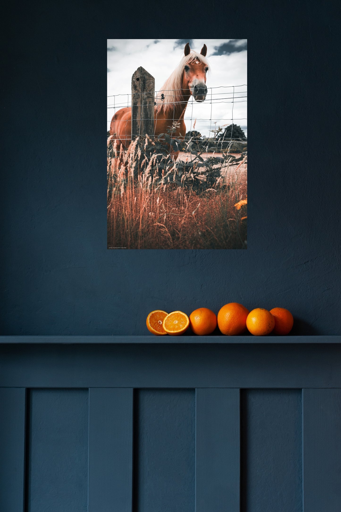 Wandbild "brown horse"