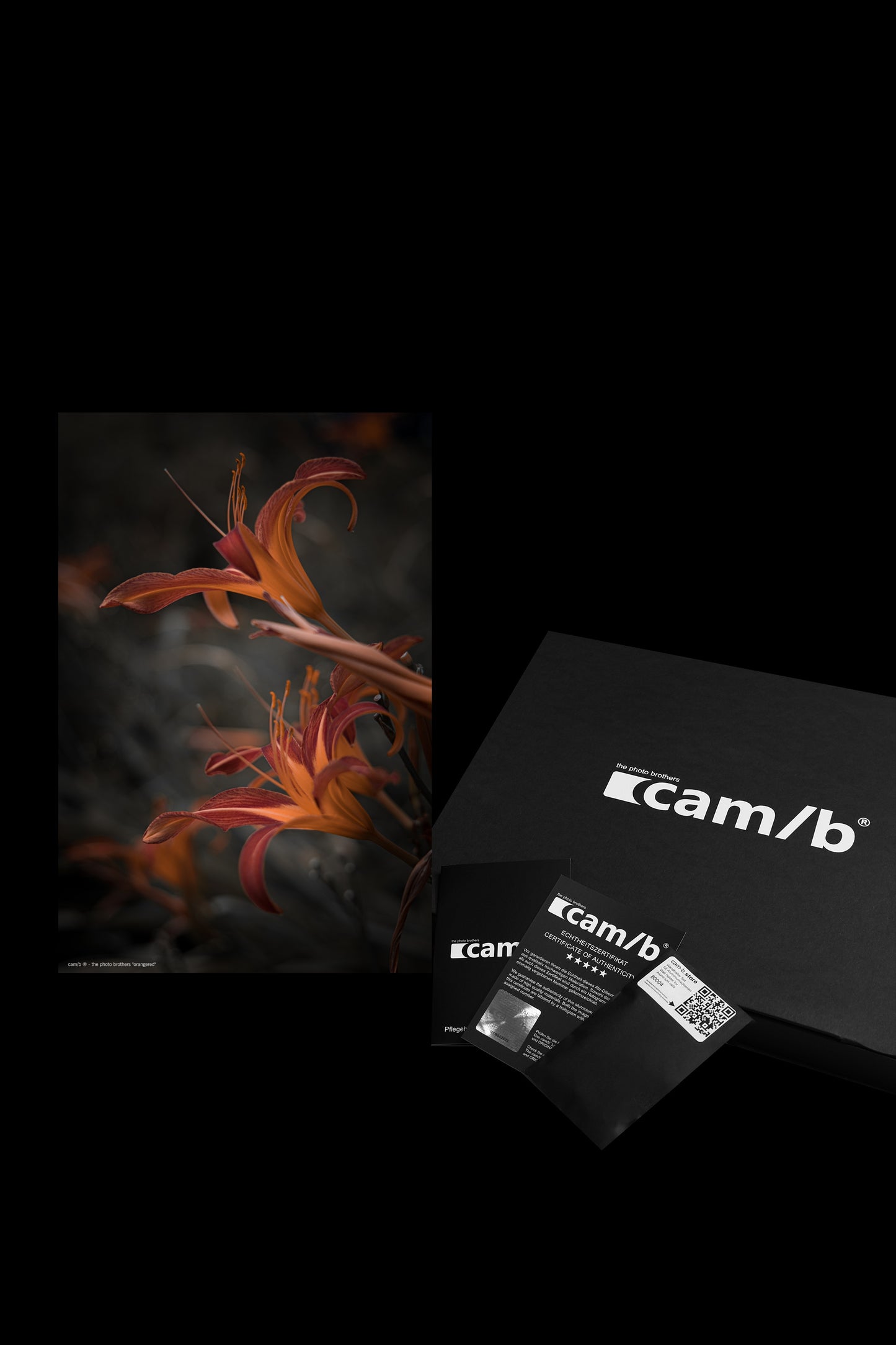 Wandbild "orangered"