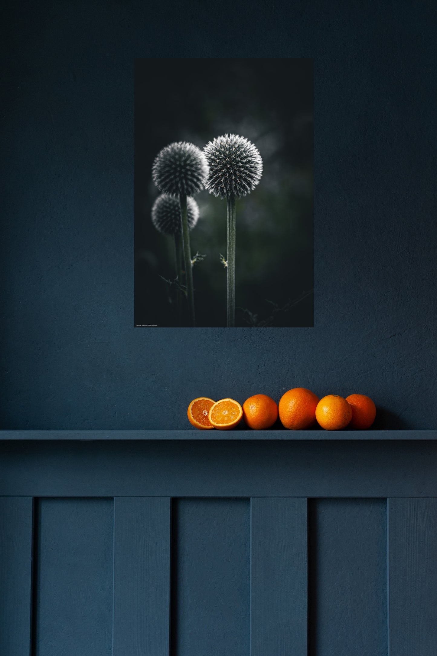 Wandbild "thistles rl"