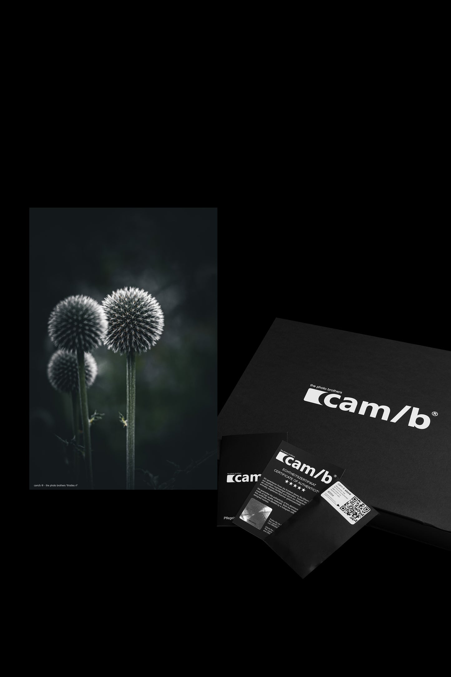 Wandbild "thistles rl"