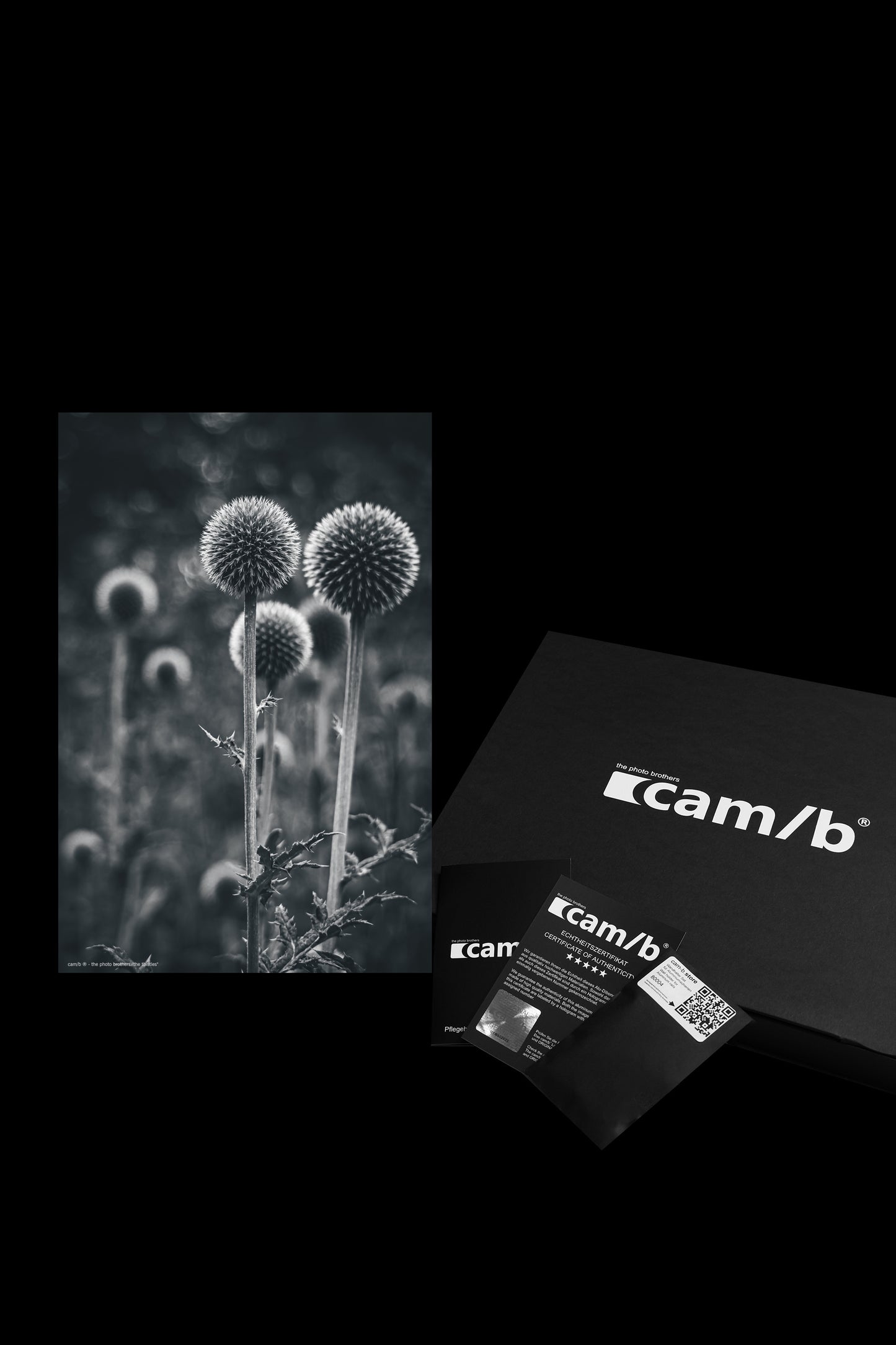 Wandbild "the thistles"