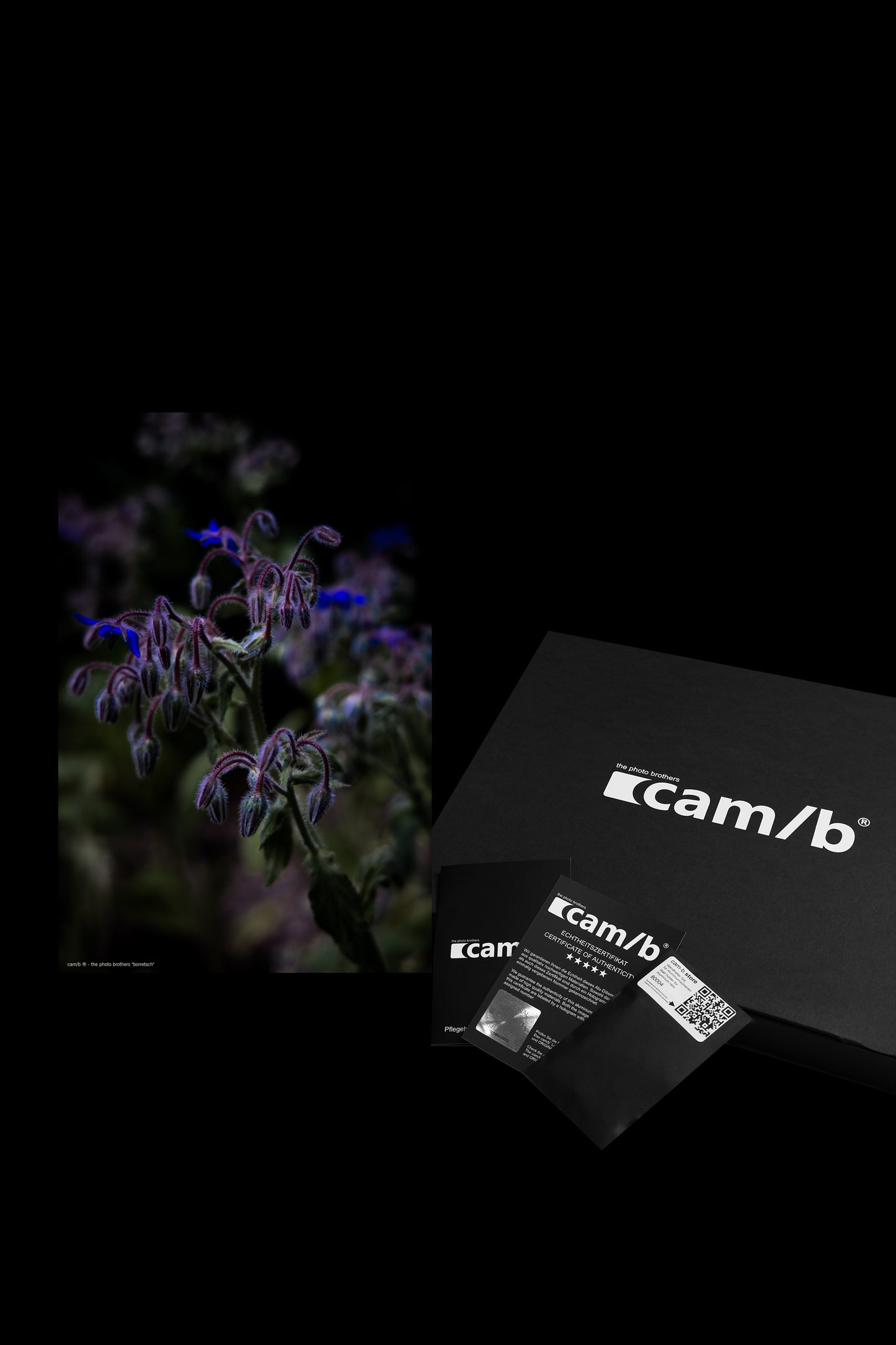 Wandbild "borretsch"