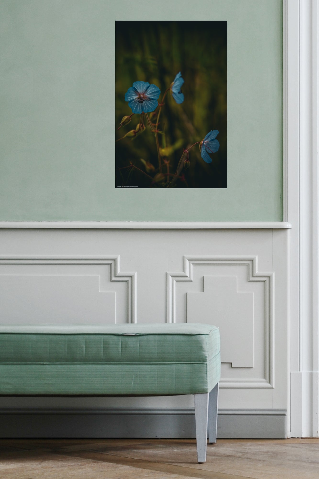 Wandbild "meadow cranesbill"