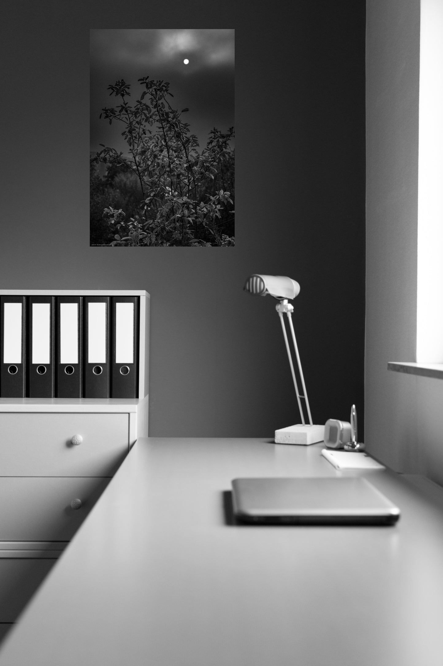 Wandbild "sunrise fog"