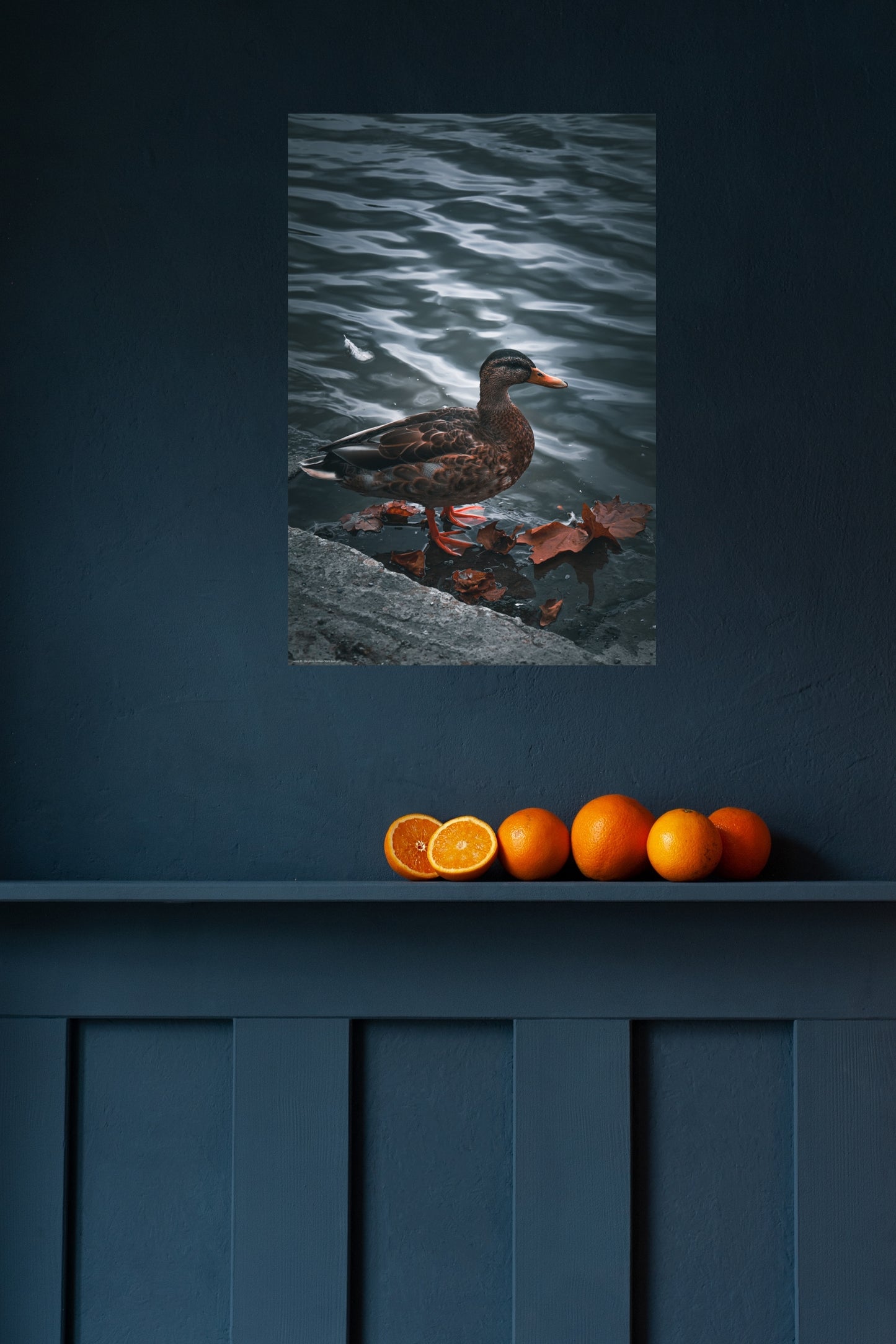 Wandbild "duck duck go"