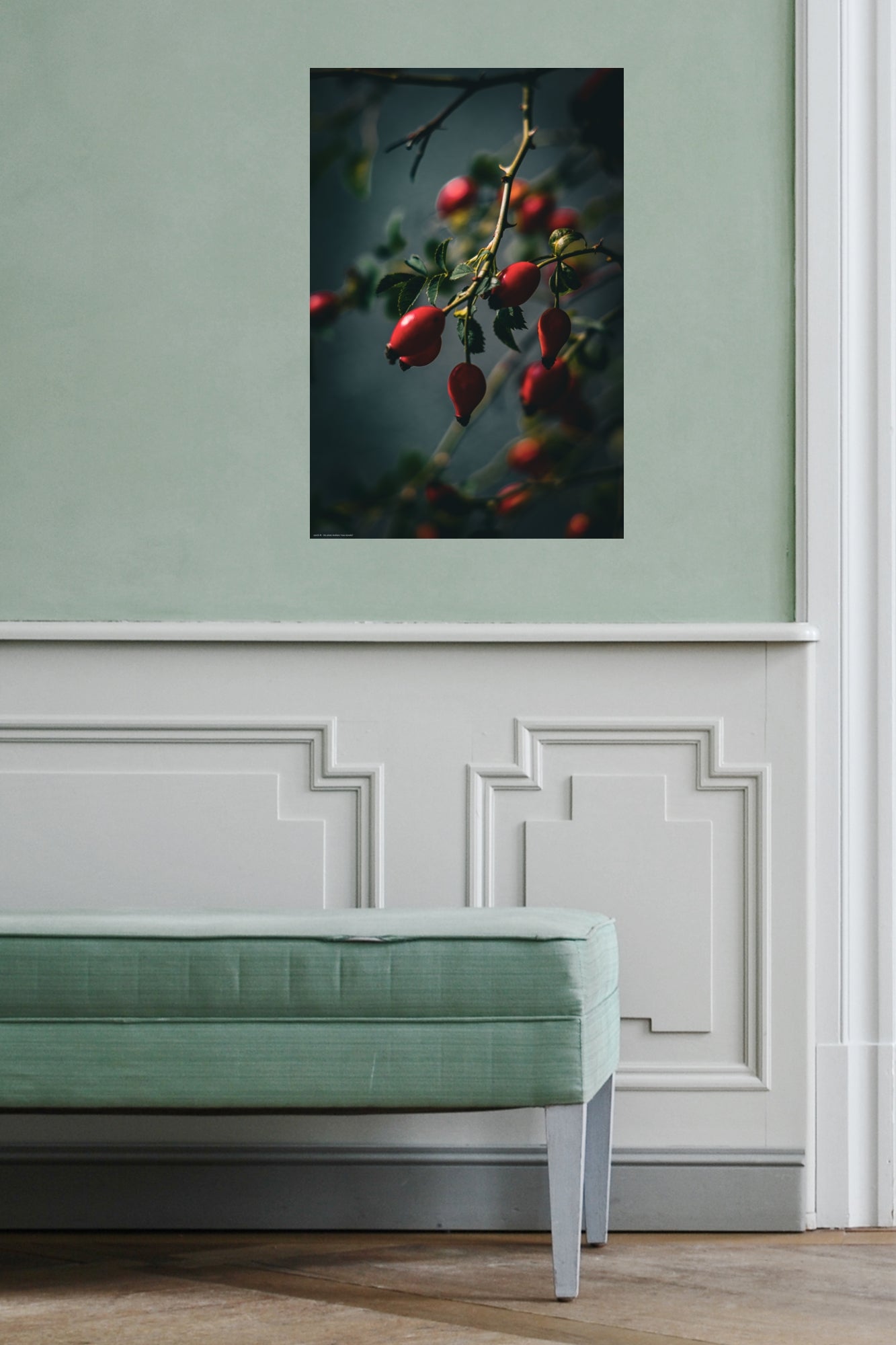 Wandbild "rosa dumalis"