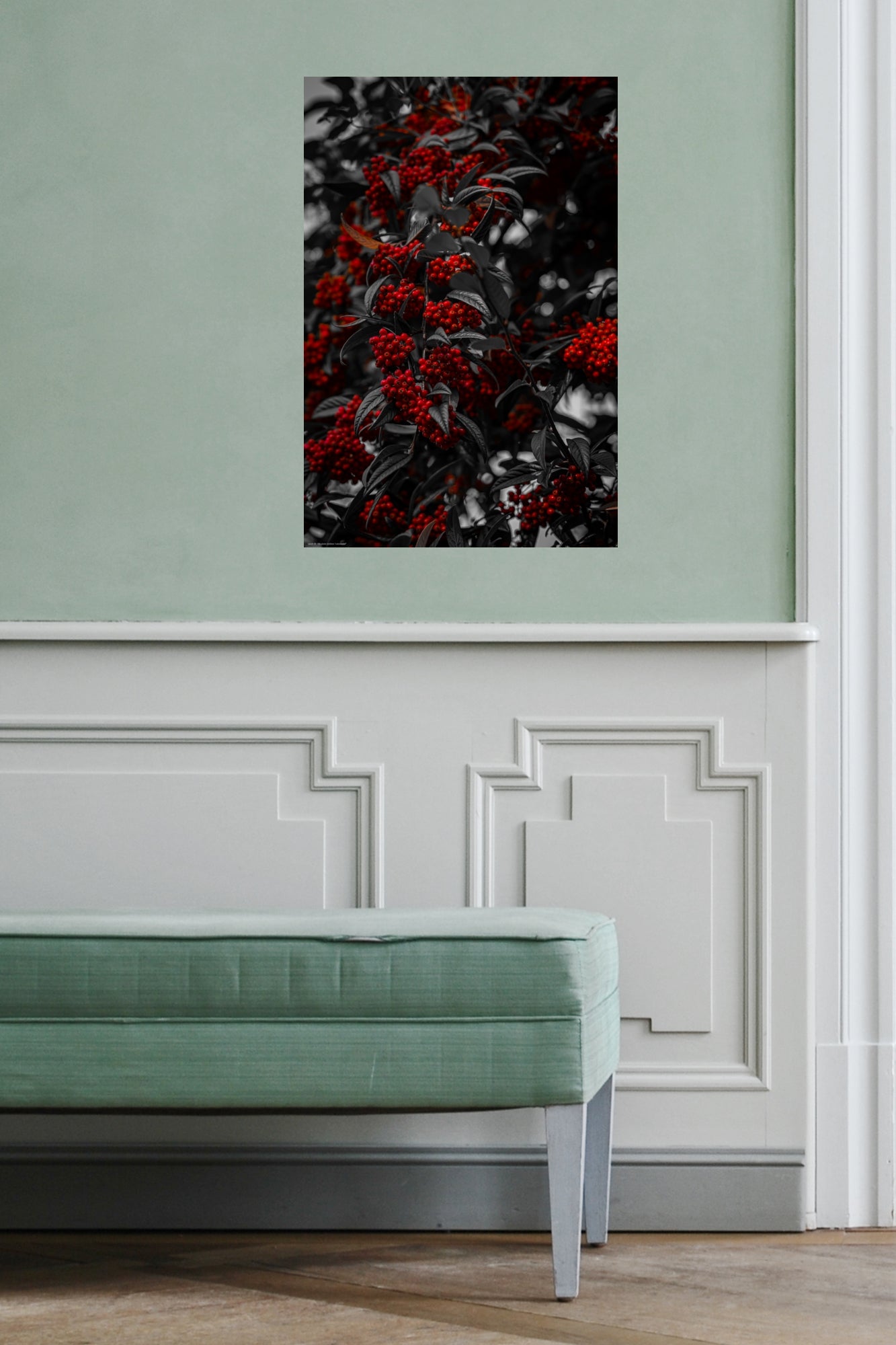 Wandbild "cotoneaster"
