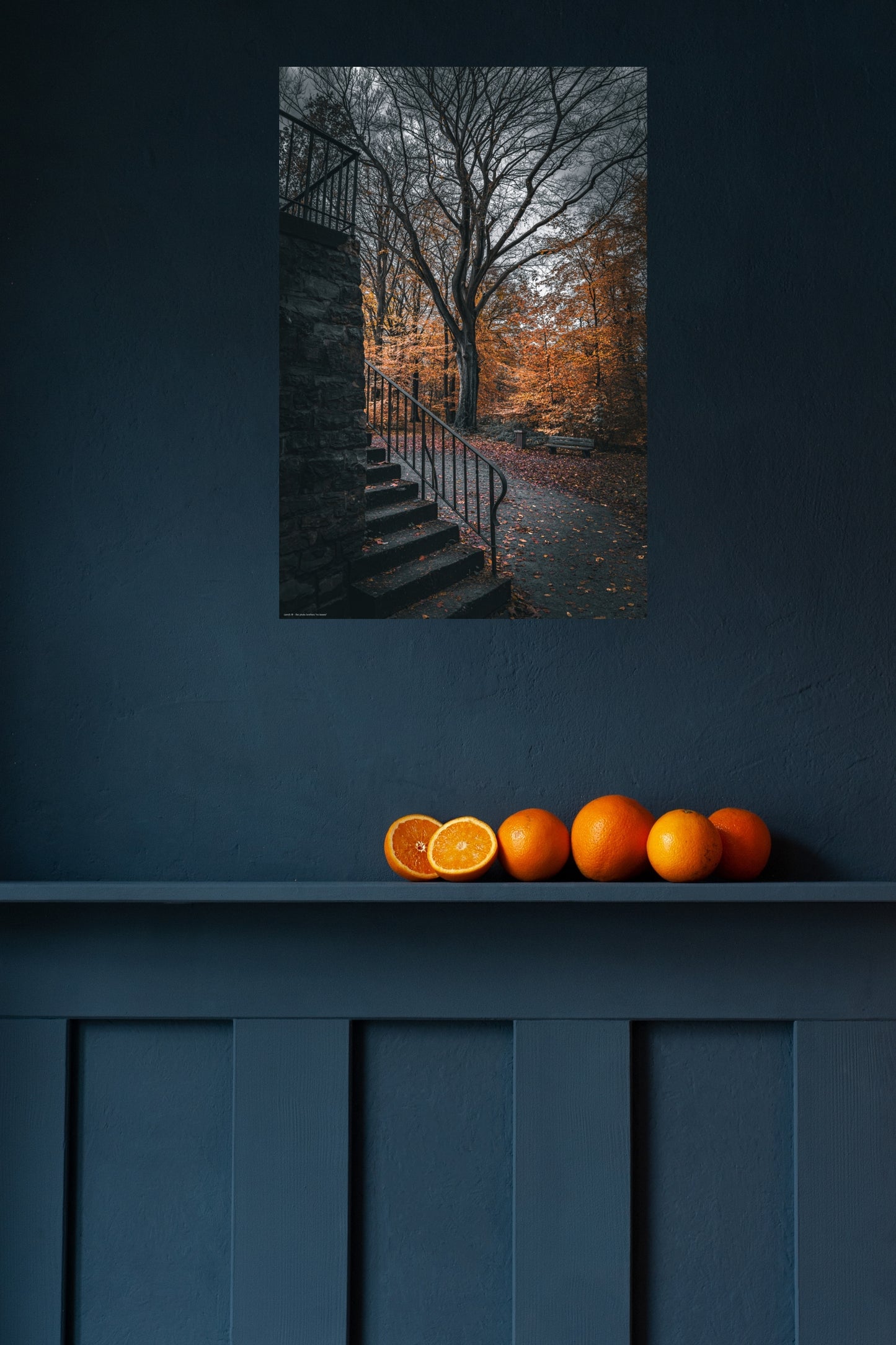 Wandbild "no leaves"