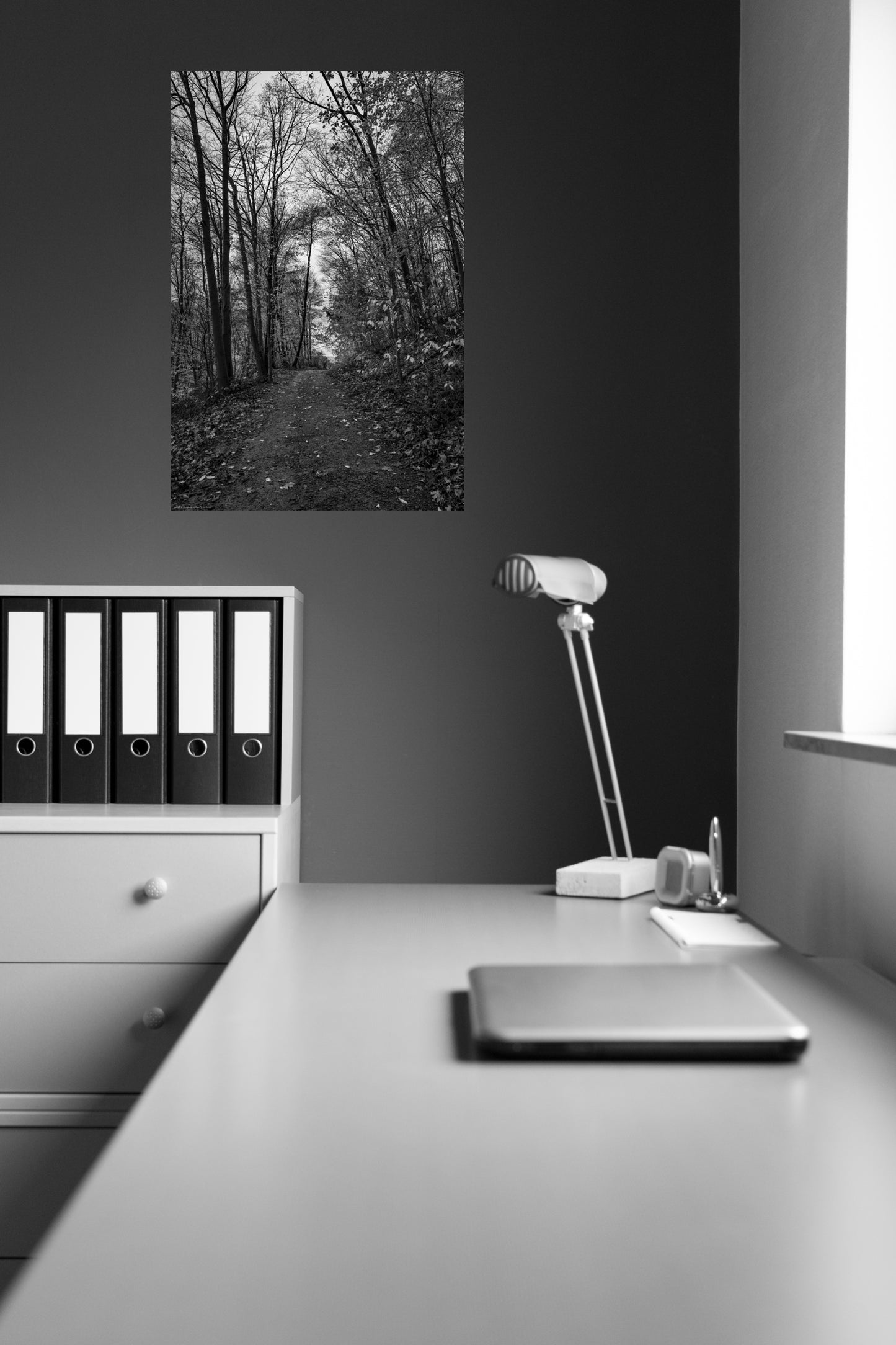 Wandbild "in the forest"