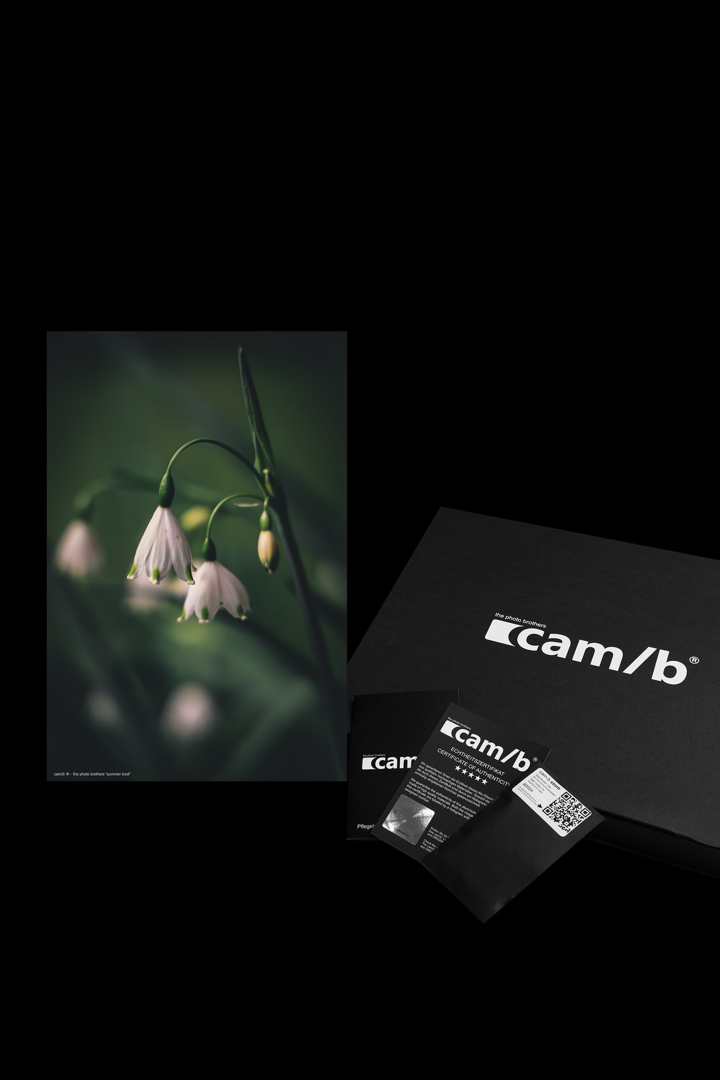 Wandbild "summer knot"